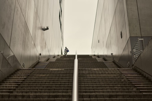 A person walks up a long, imposing staircase.