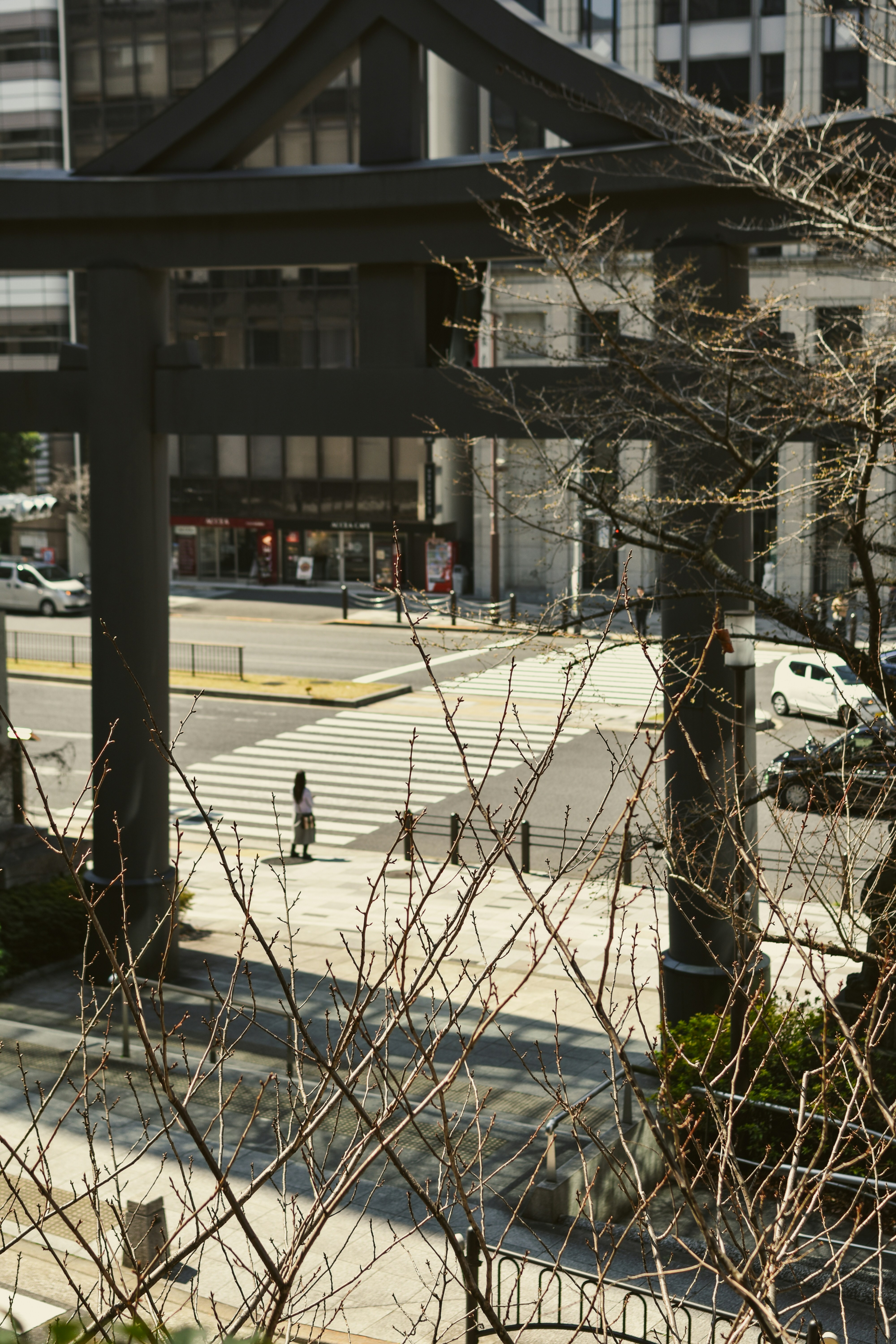 Photo by mirceadrian