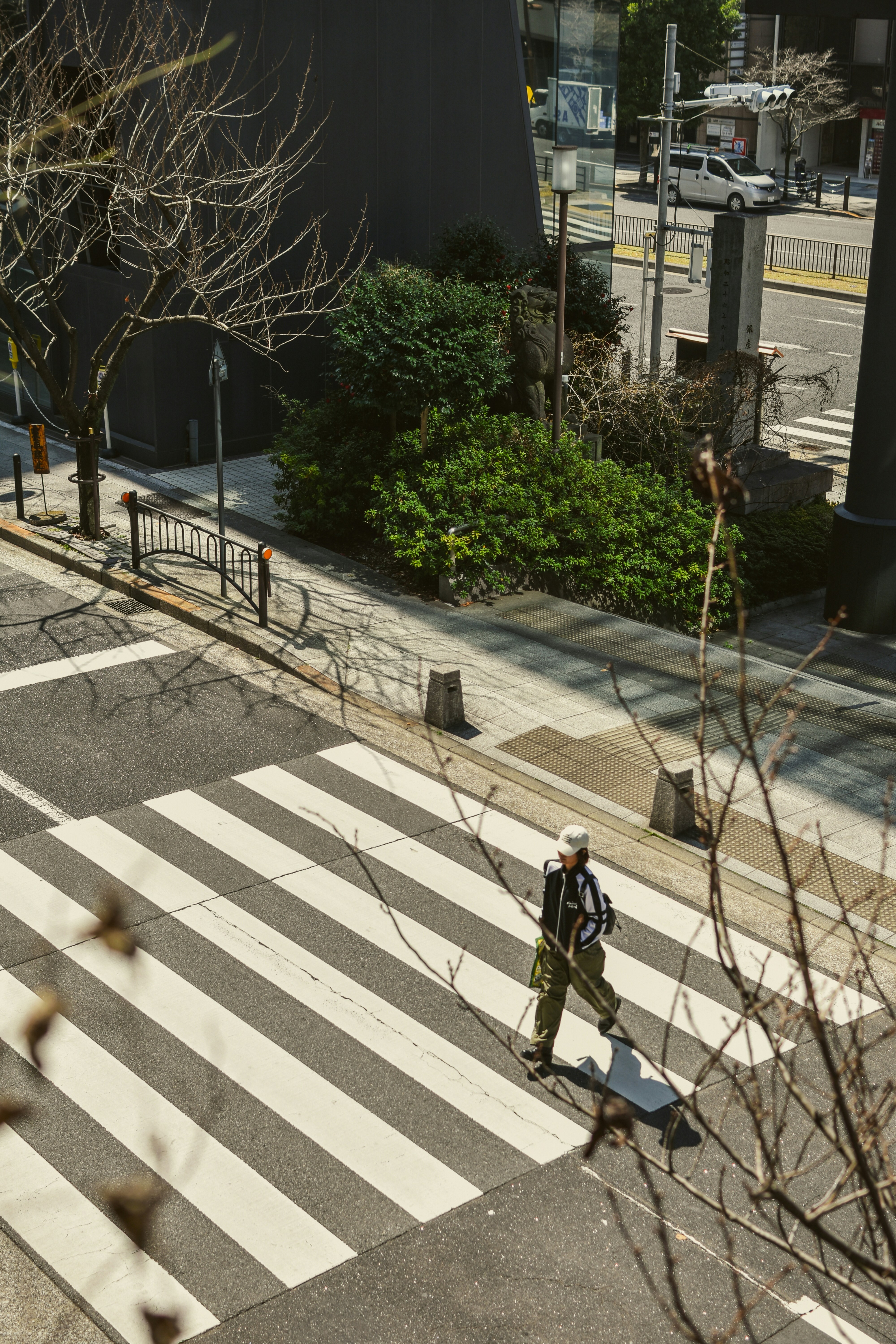 Photo by mirceadrian