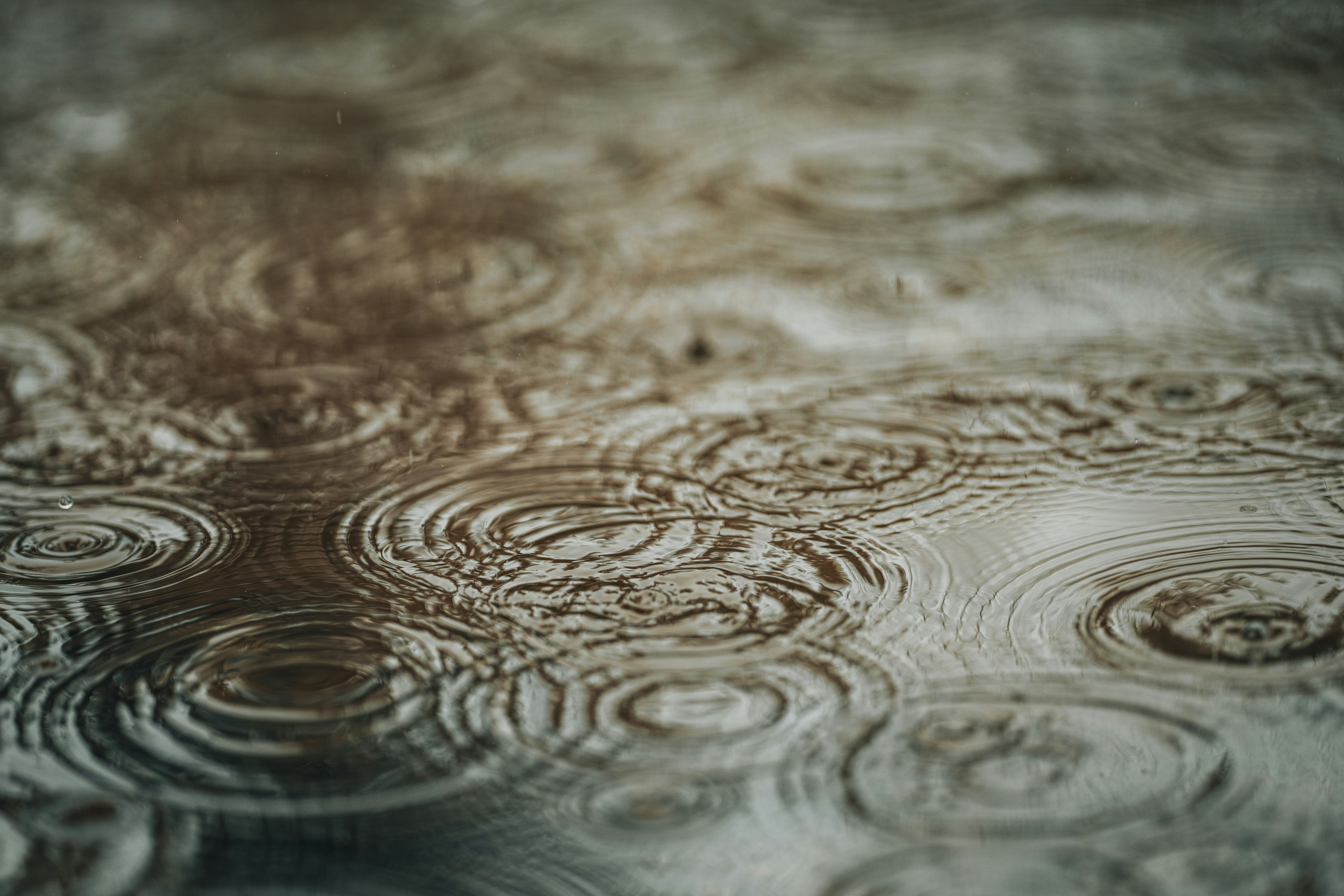 Raindrops create ripples on a water surface.