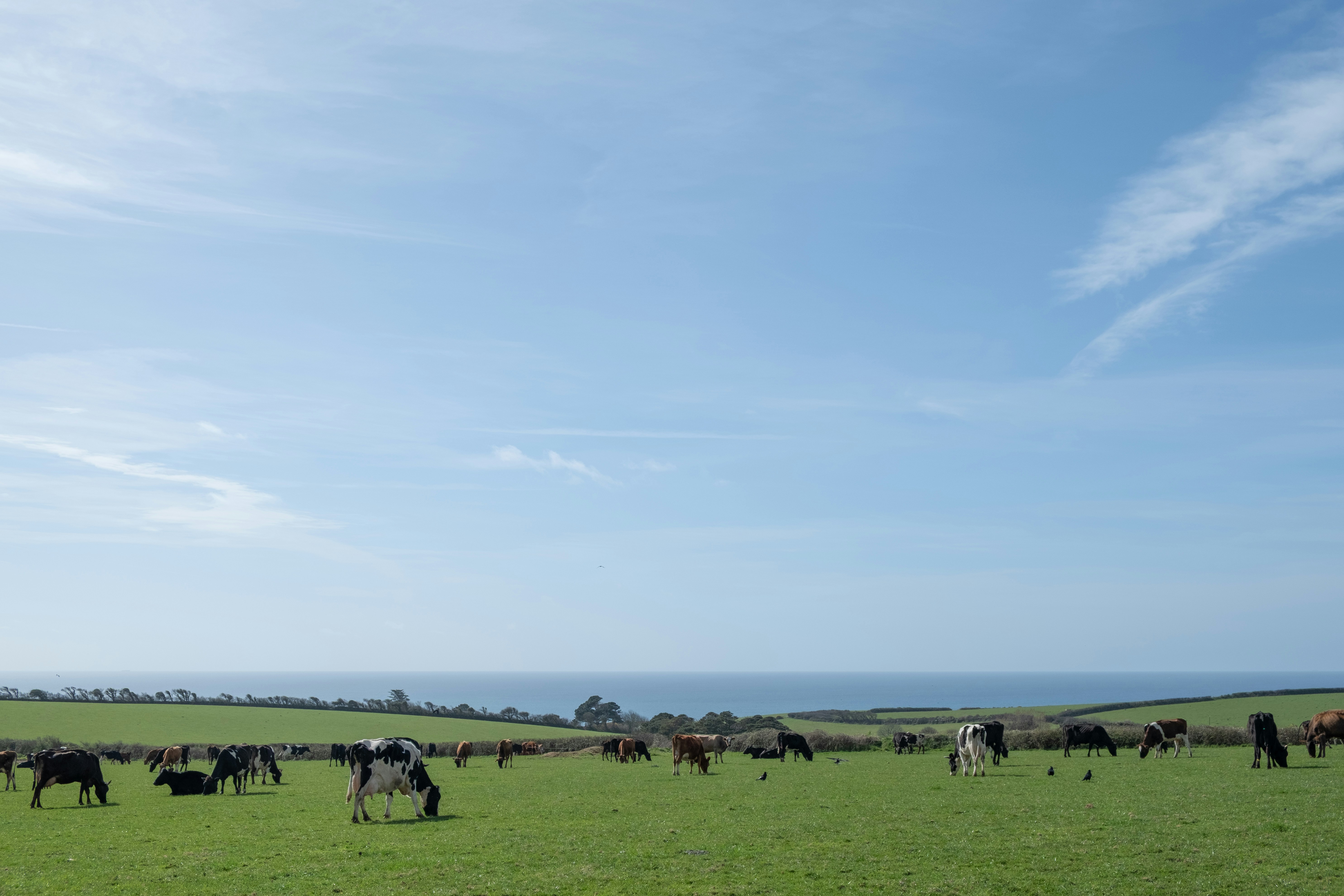 Photo by veronicaa_white