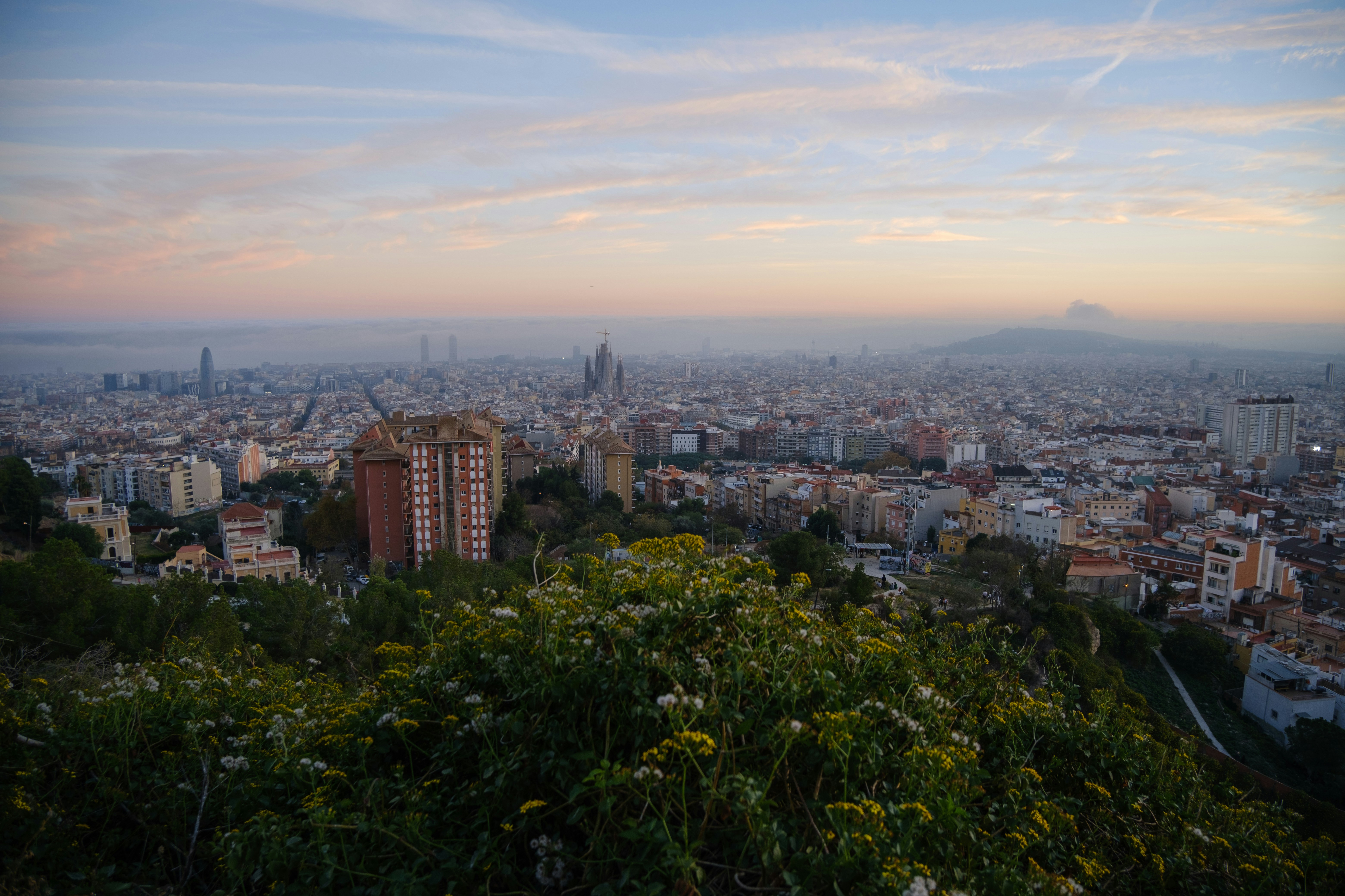 Cityscape view at dusk with flowers in foreground.