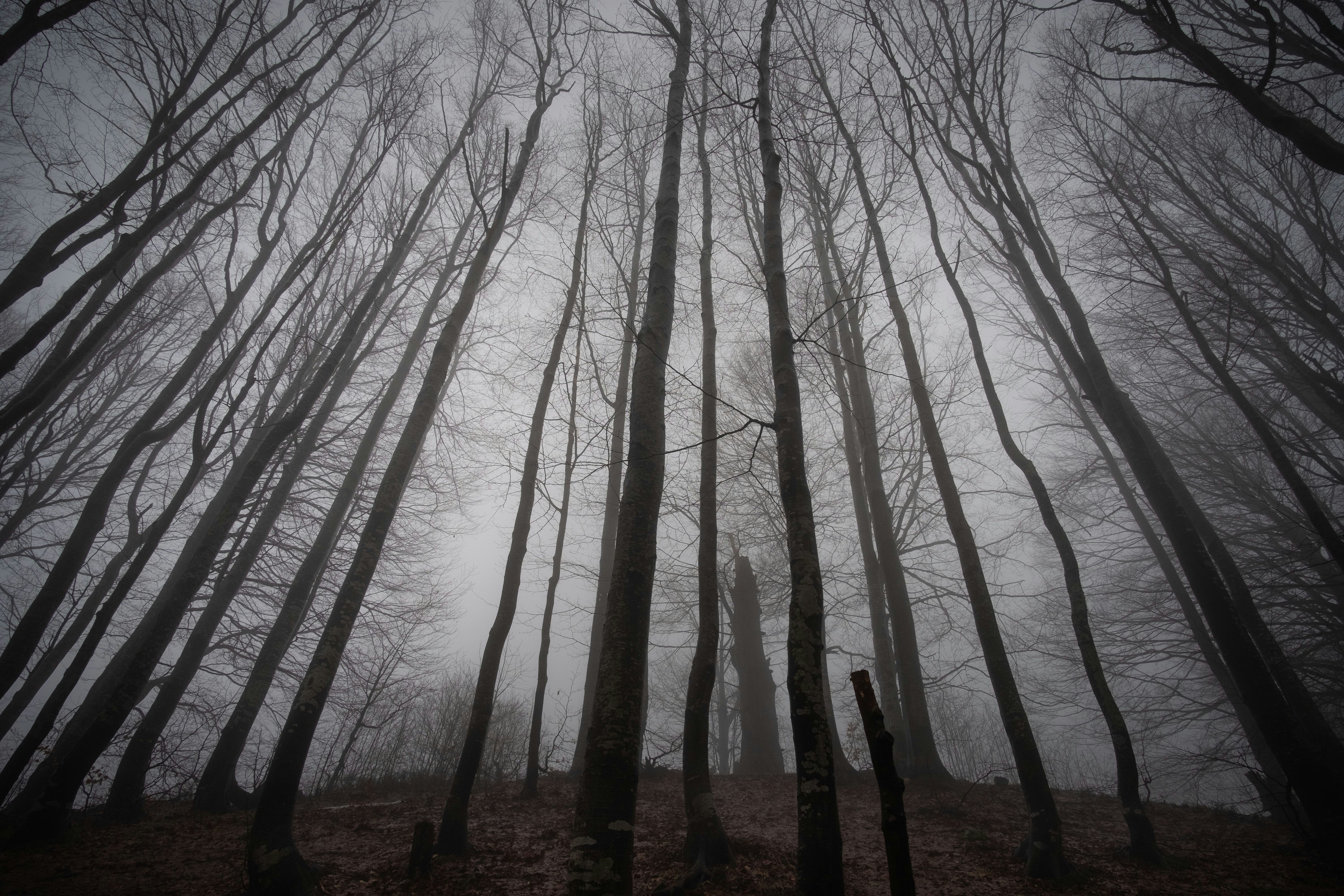 Photo by sevencolors