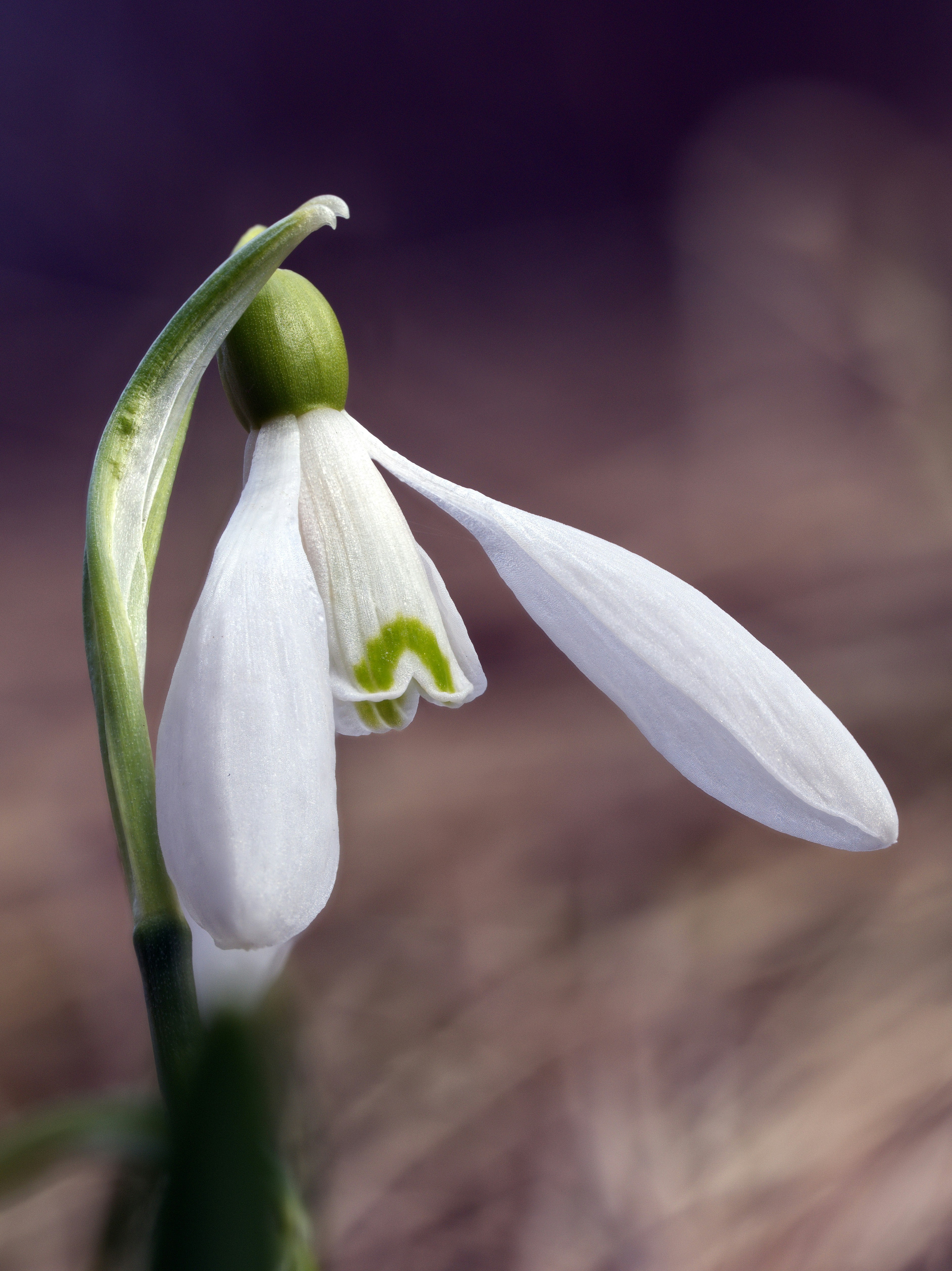 Photo by illes_cristi