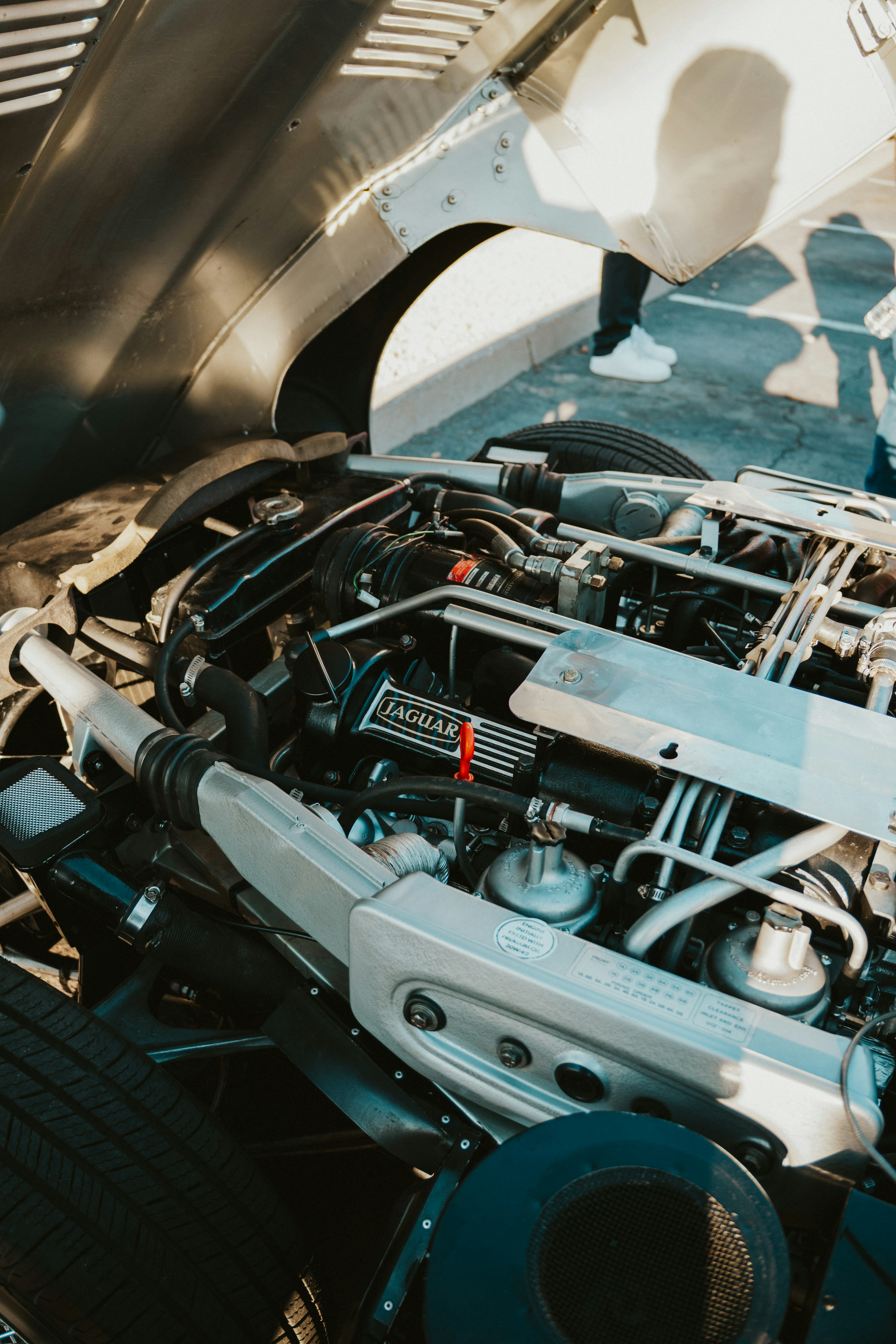 Photo by nickfuentes_