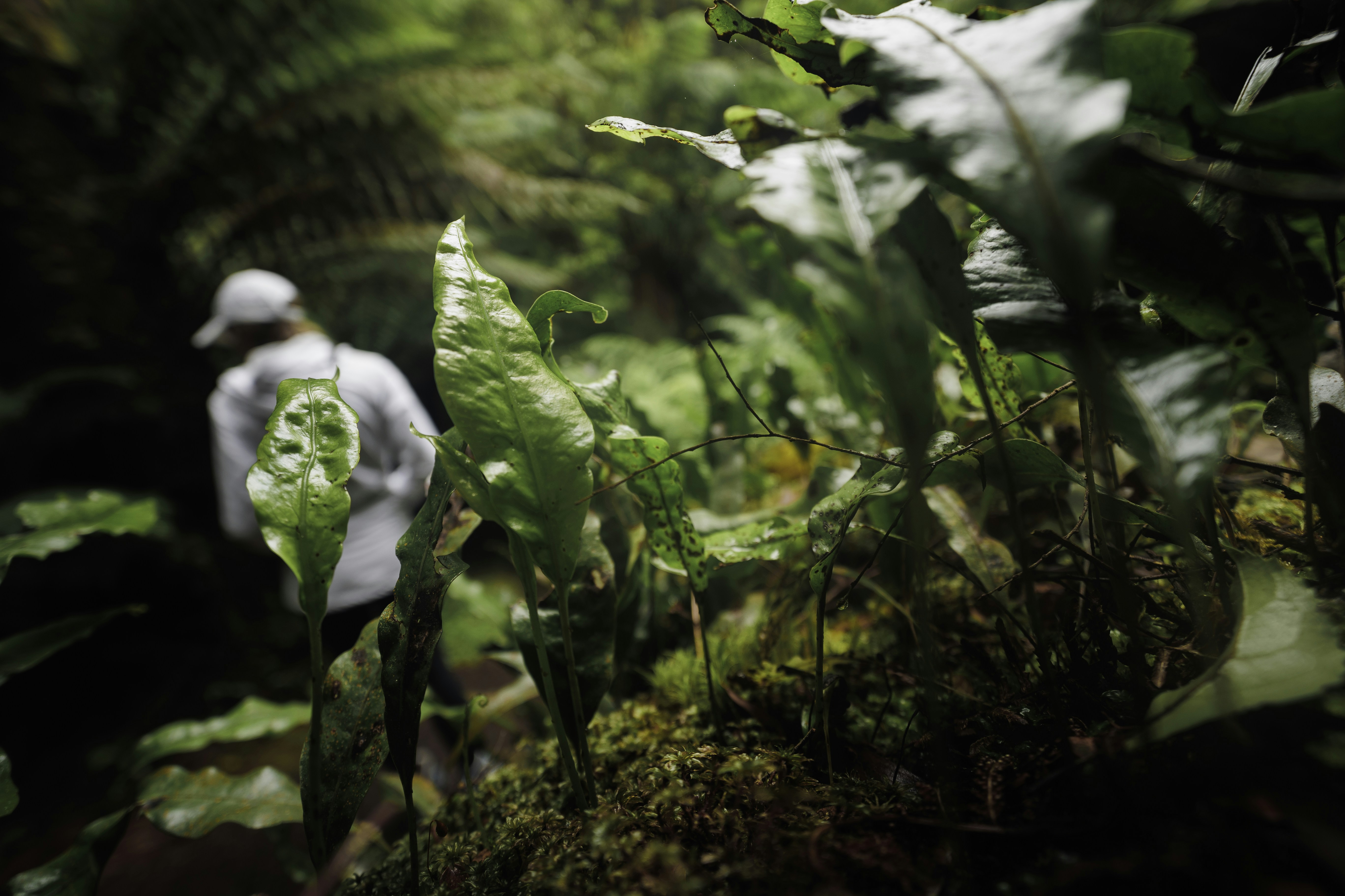 Photo by behindthetmuna