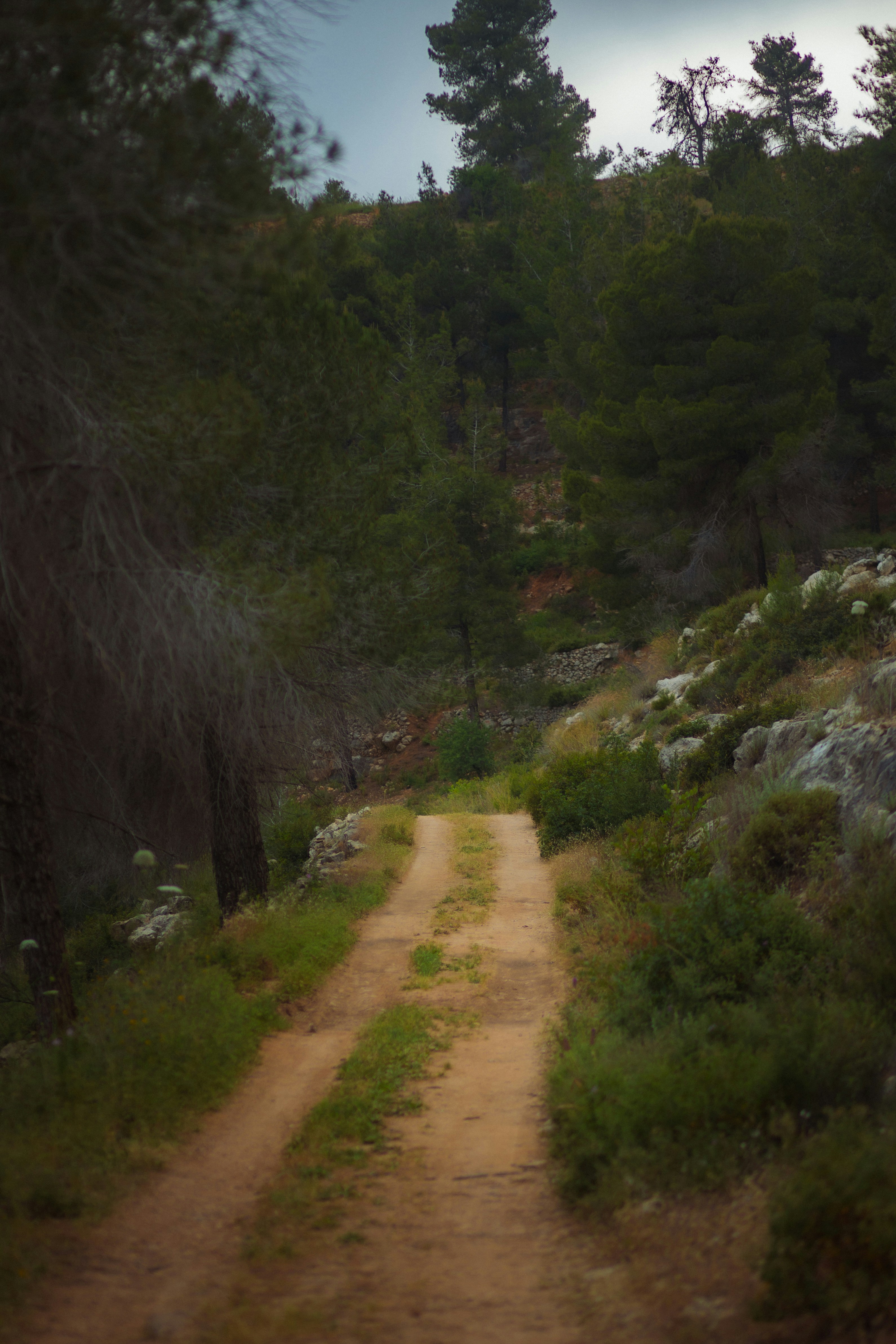 Photo by behindthetmuna