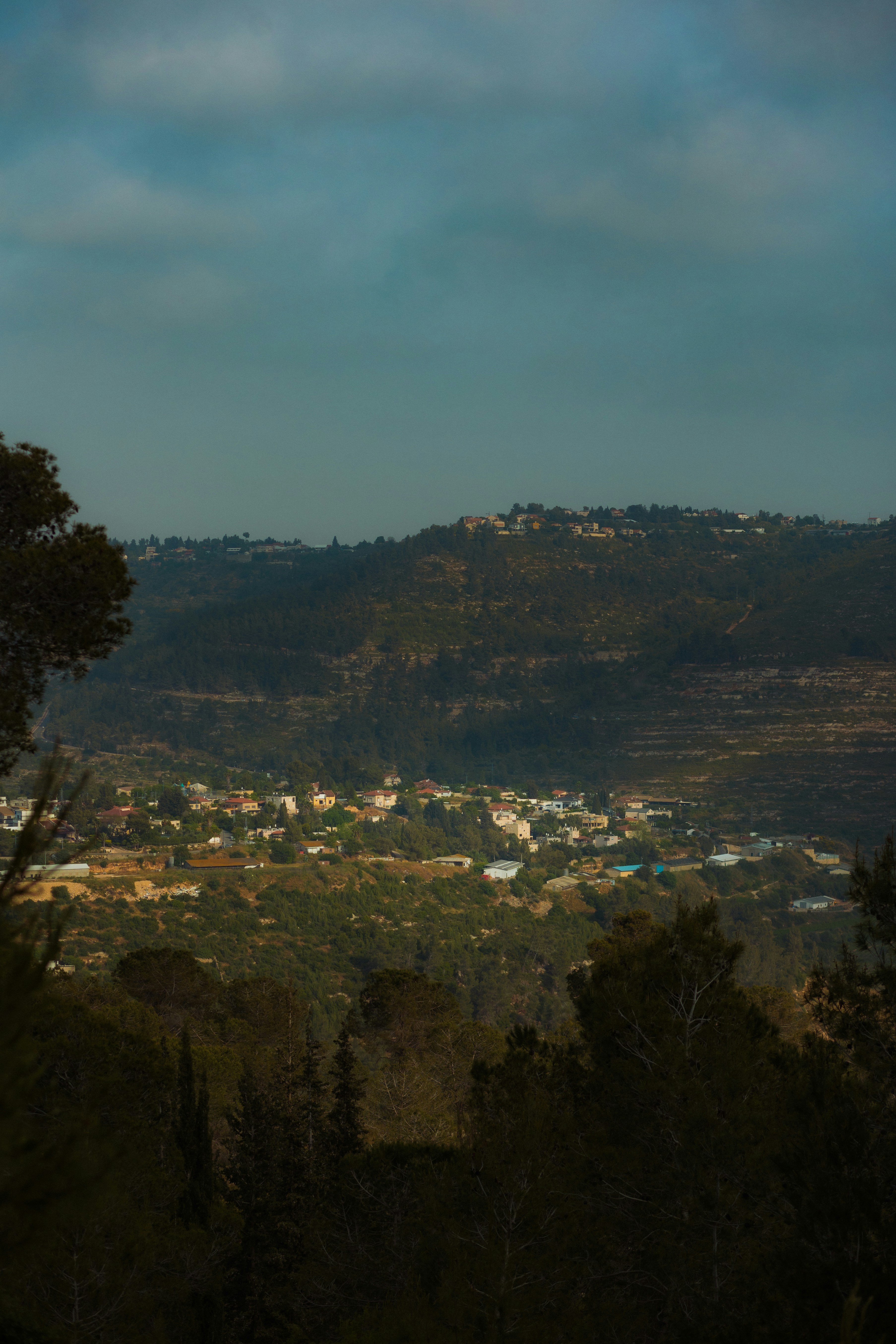 Photo by behindthetmuna