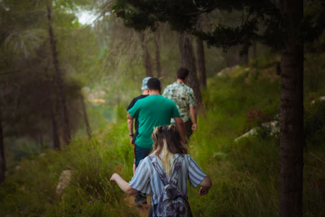 People are hiking through a lush, green forest.