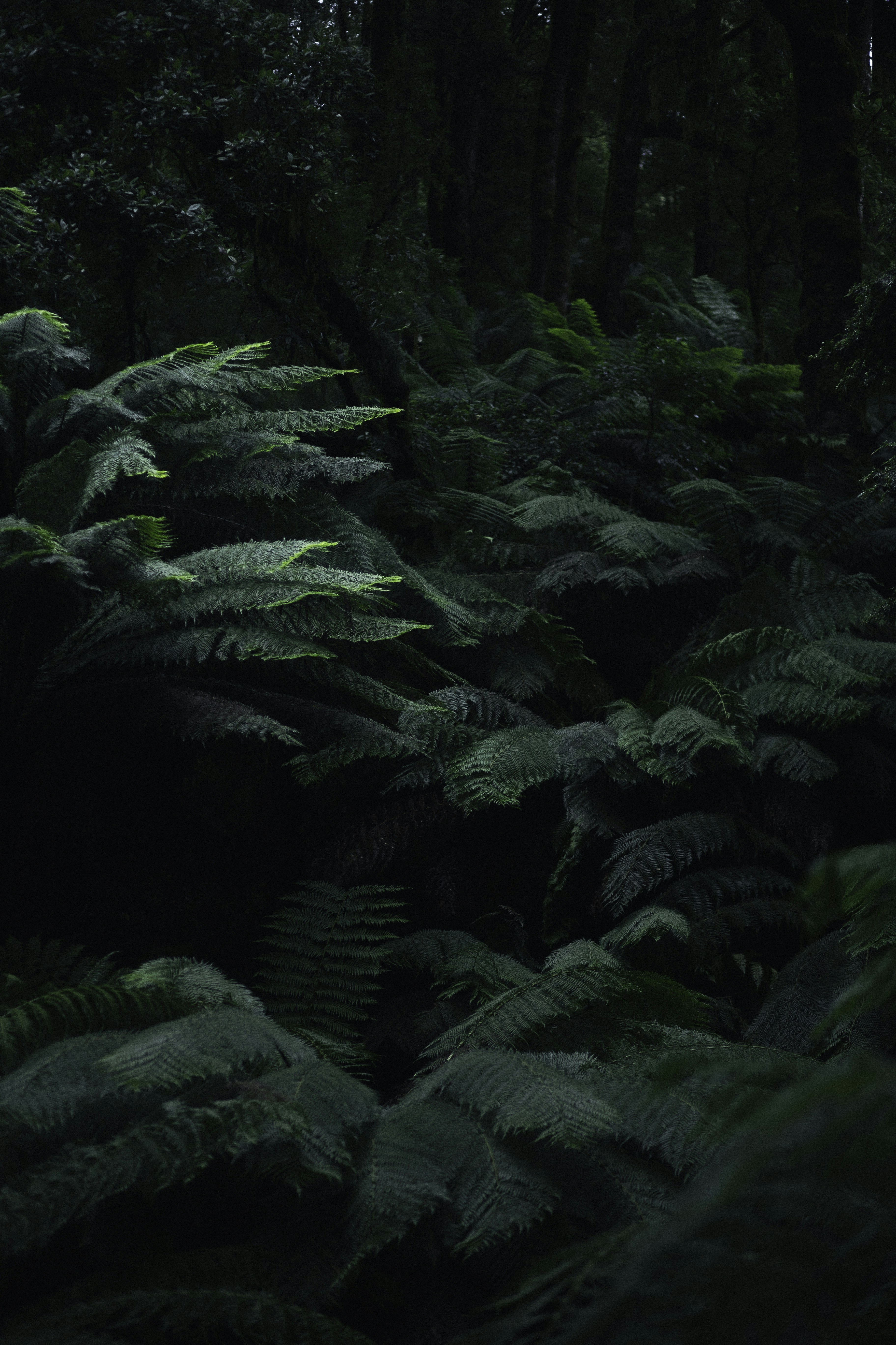 Photo by behindthetmuna