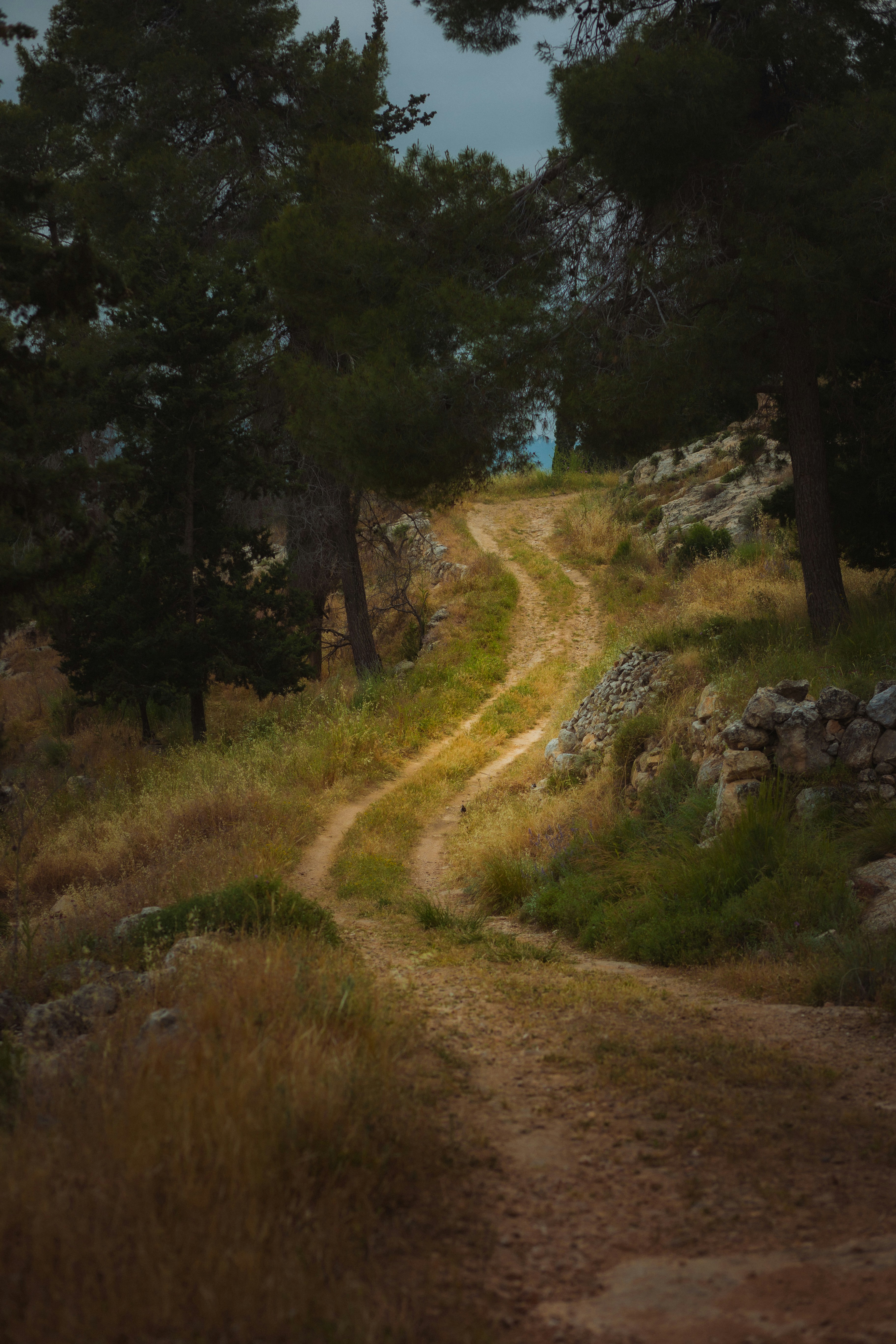 Photo by behindthetmuna