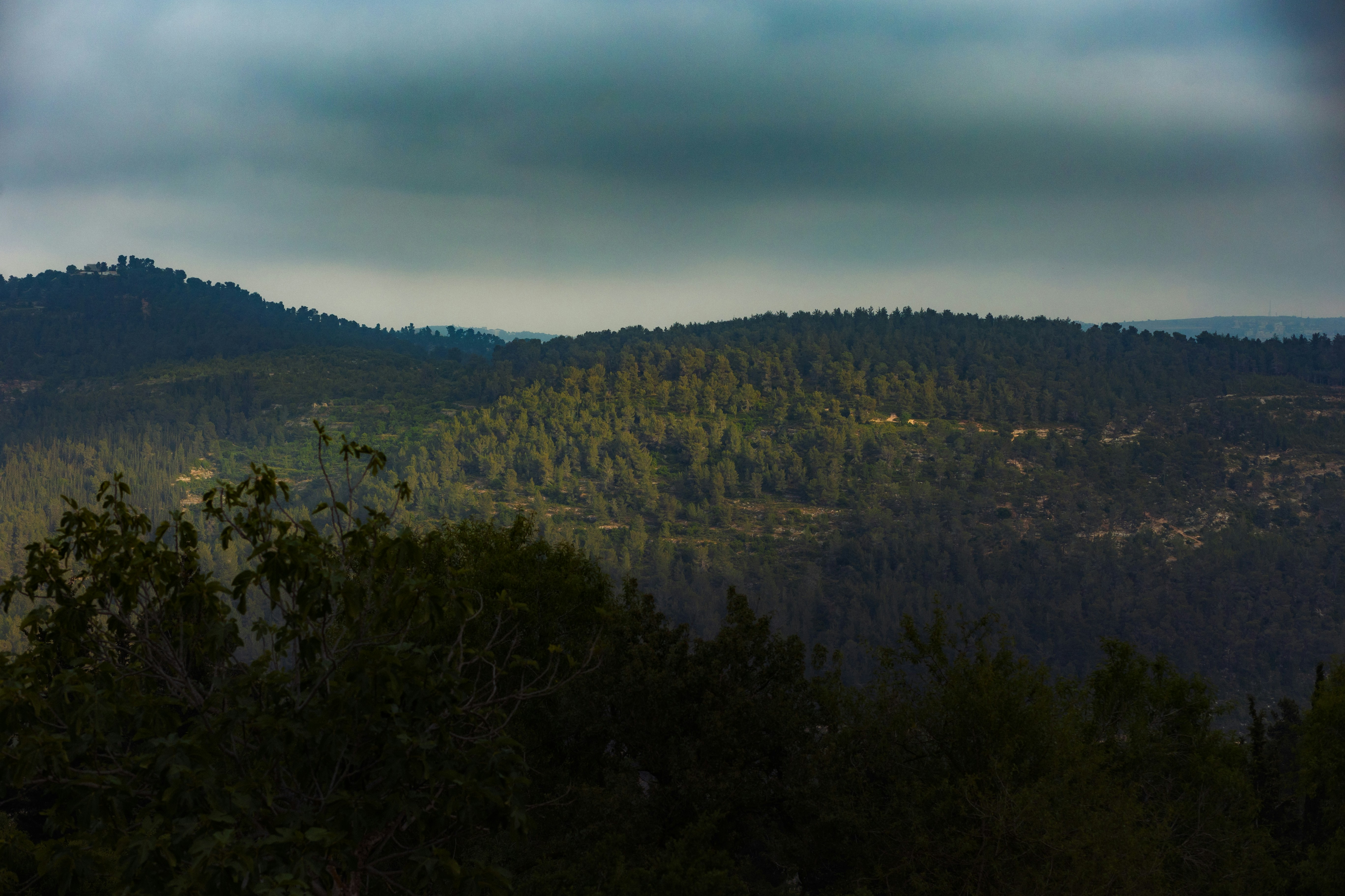 Photo by behindthetmuna