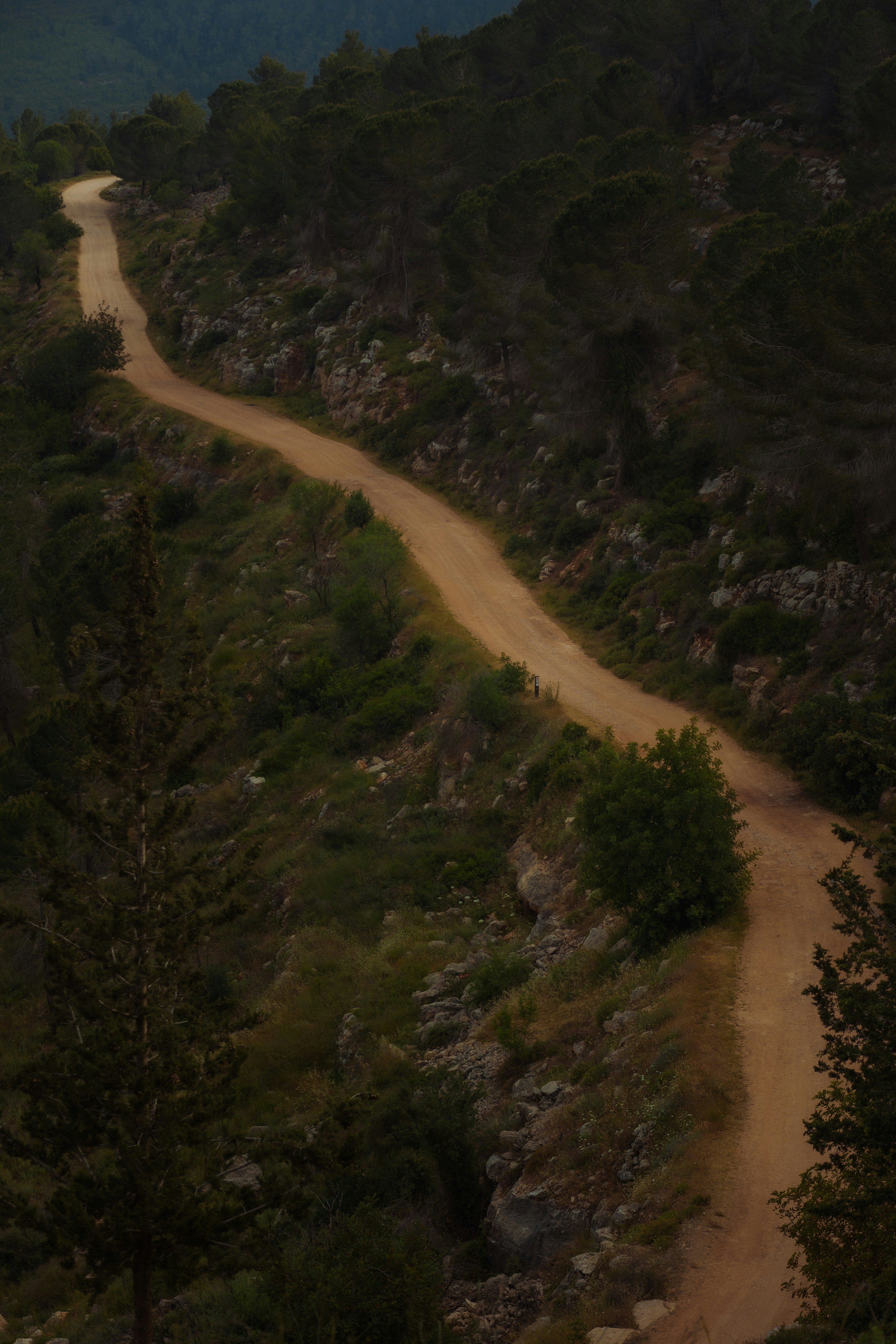 Photo by behindthetmuna