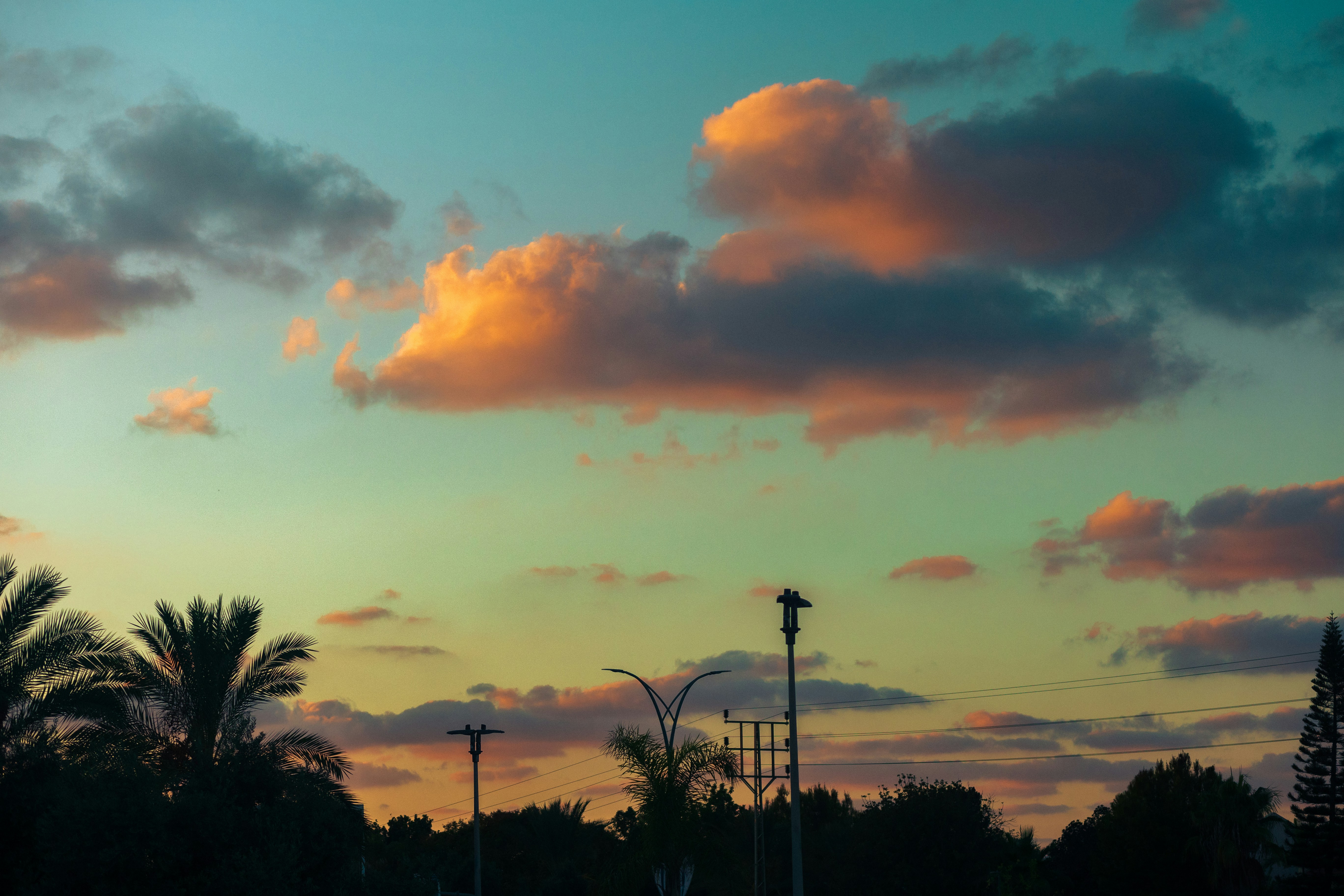 Photo by behindthetmuna