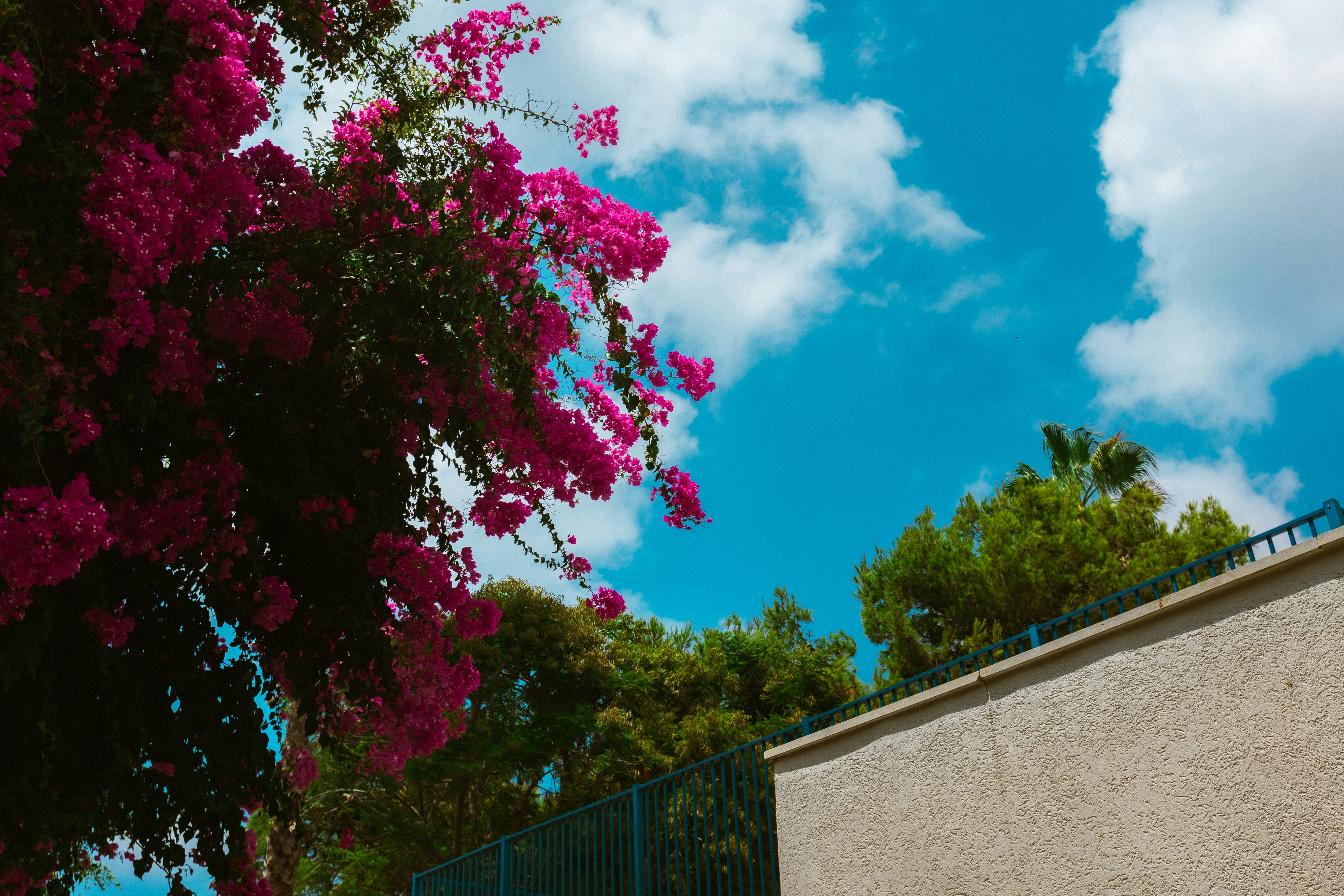 Photo by behindthetmuna