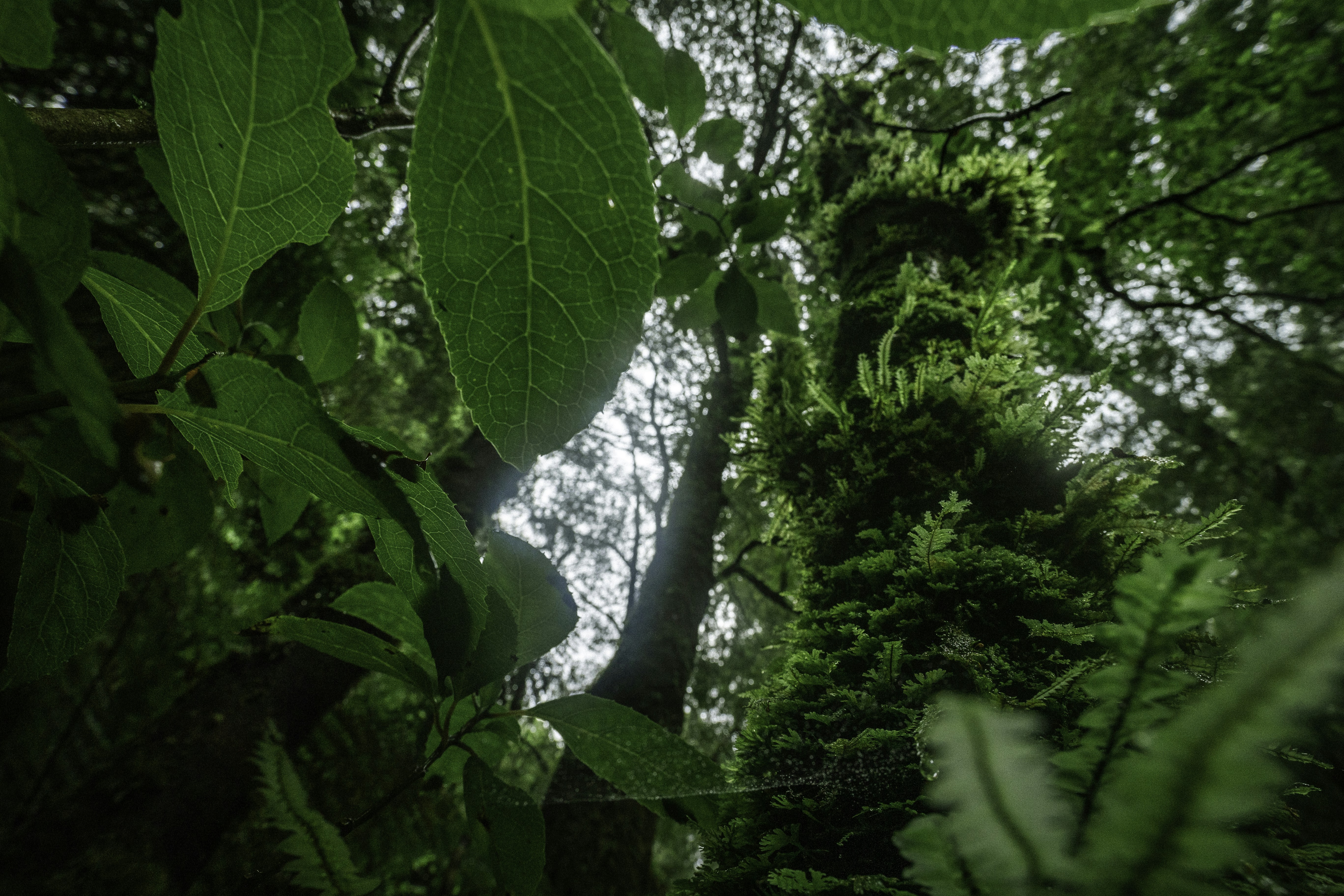 Photo by behindthetmuna