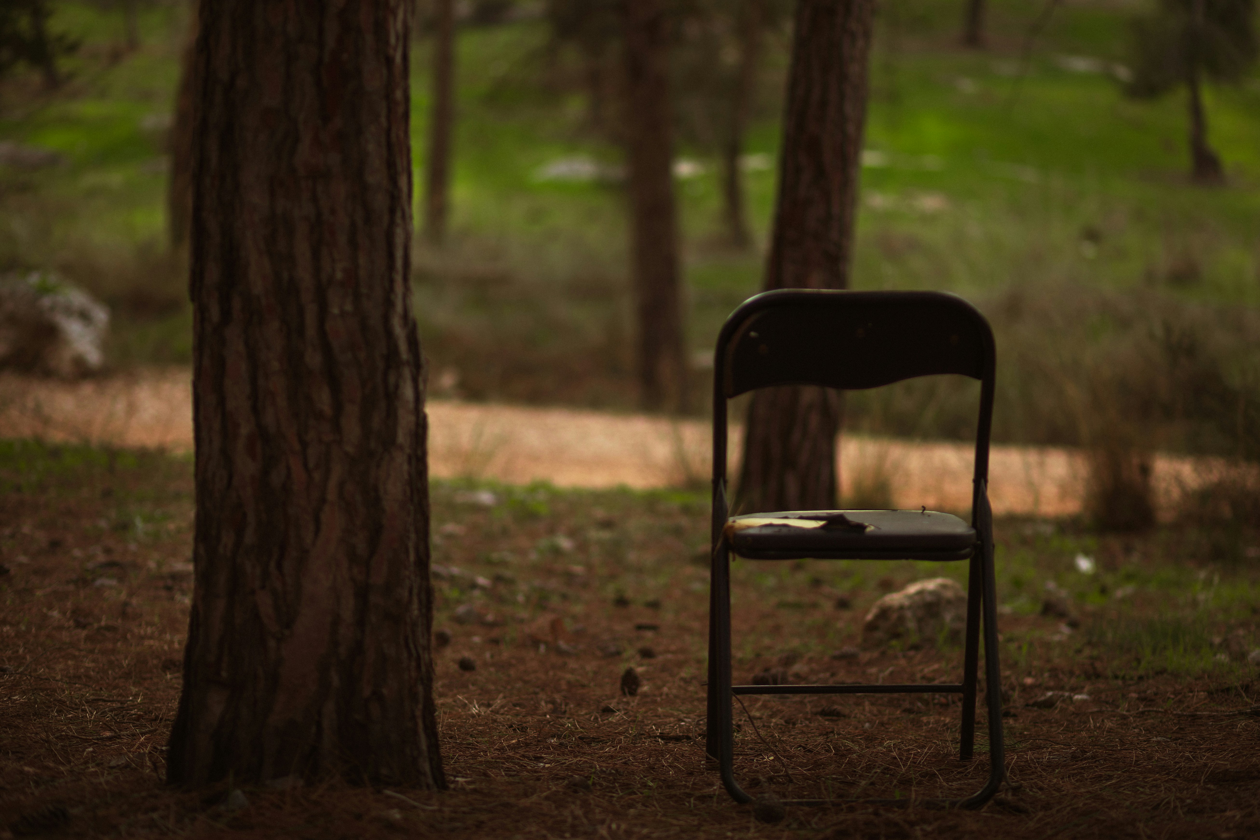 Photo by behindthetmuna