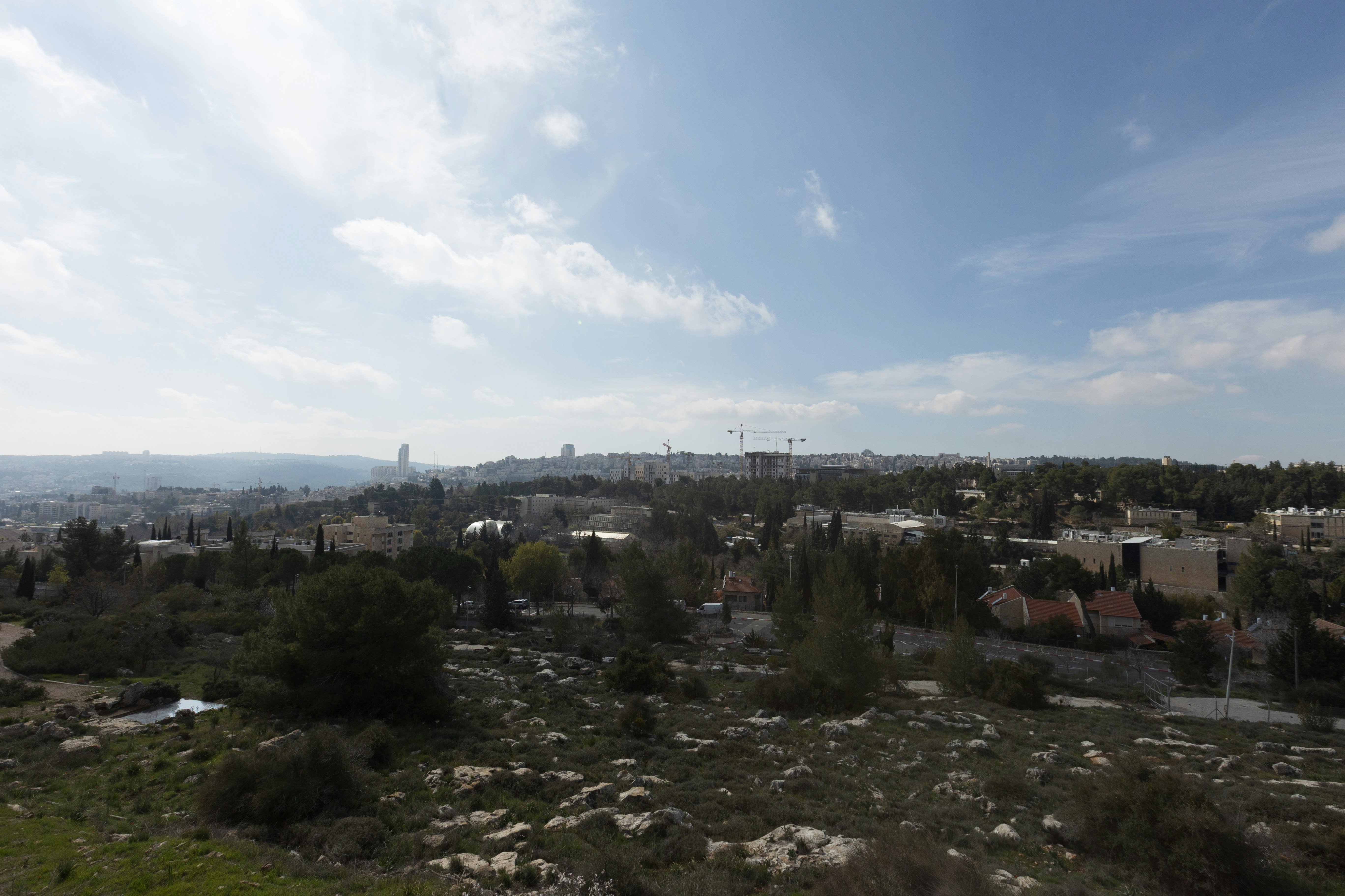 Photo by behindthetmuna