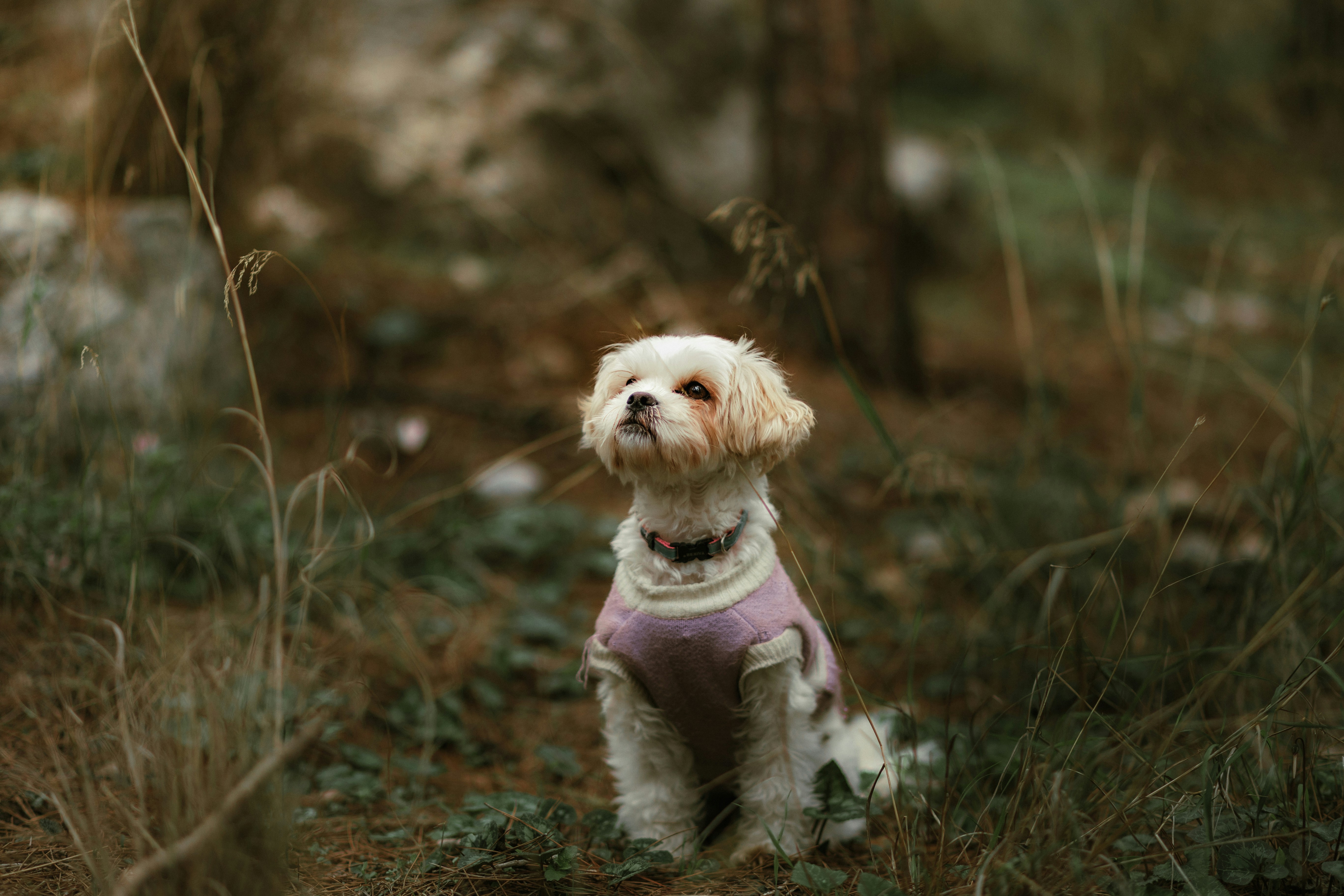 Photo by behindthetmuna