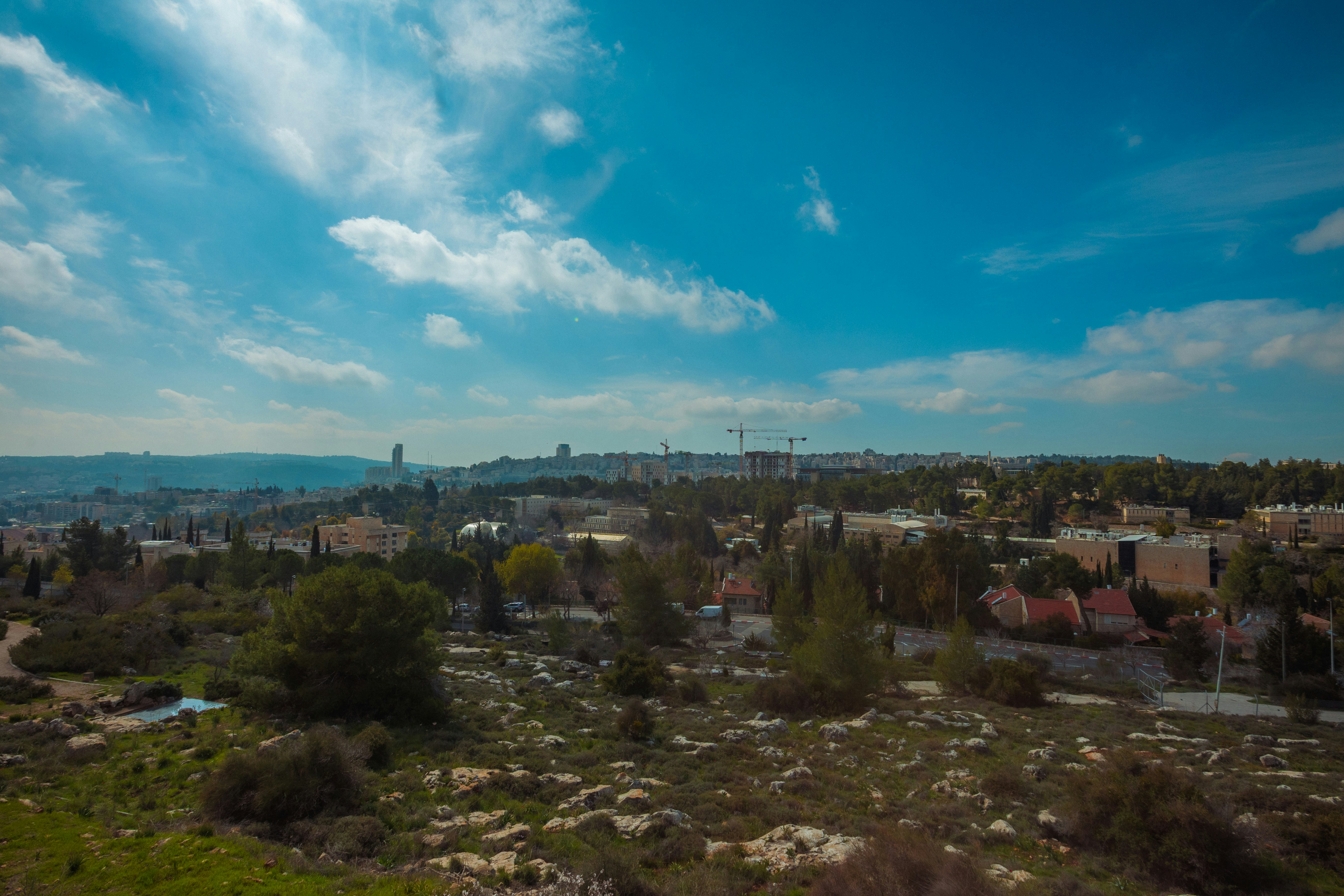 Photo by behindthetmuna