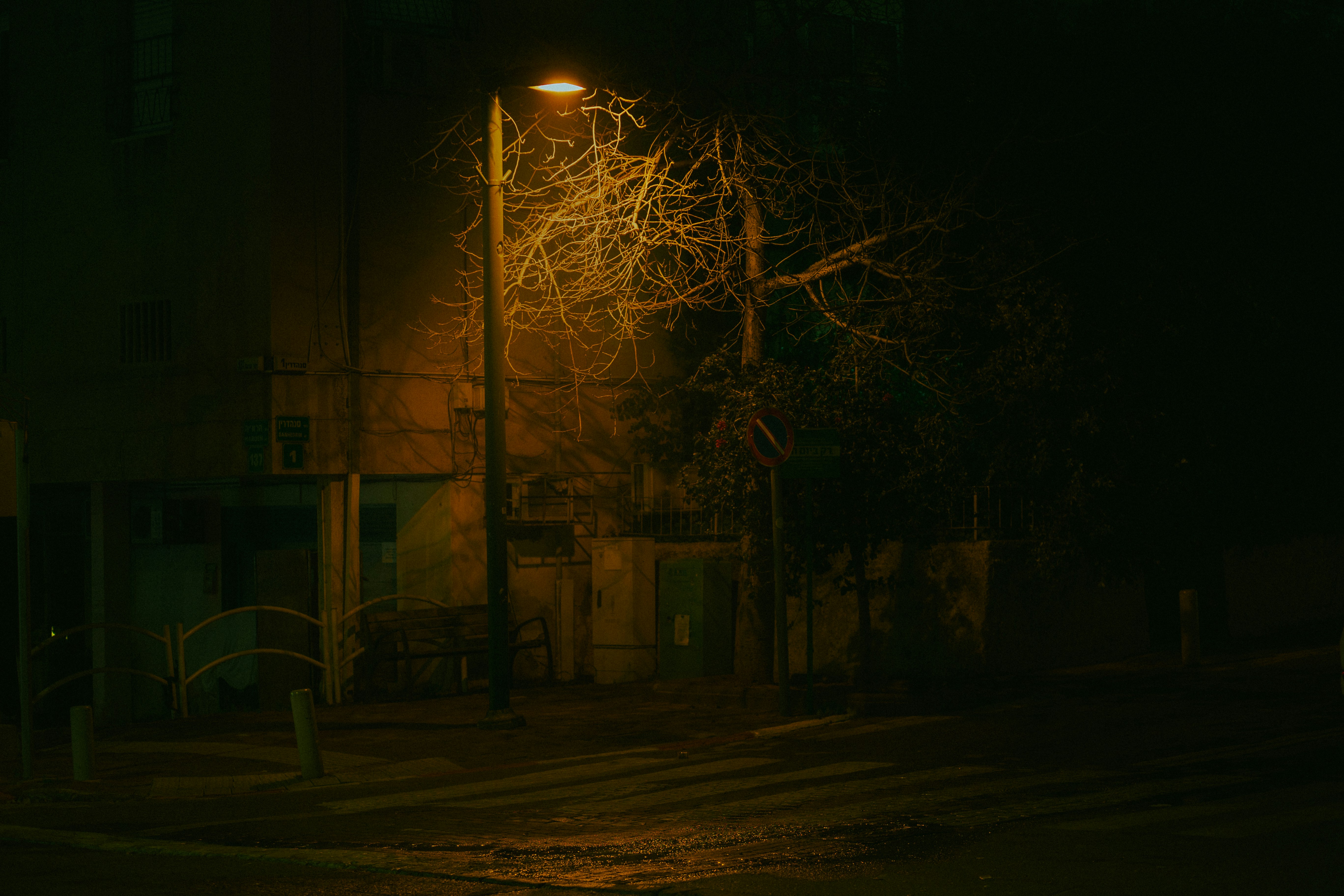 A streetlight illuminates a dark, empty street at night.