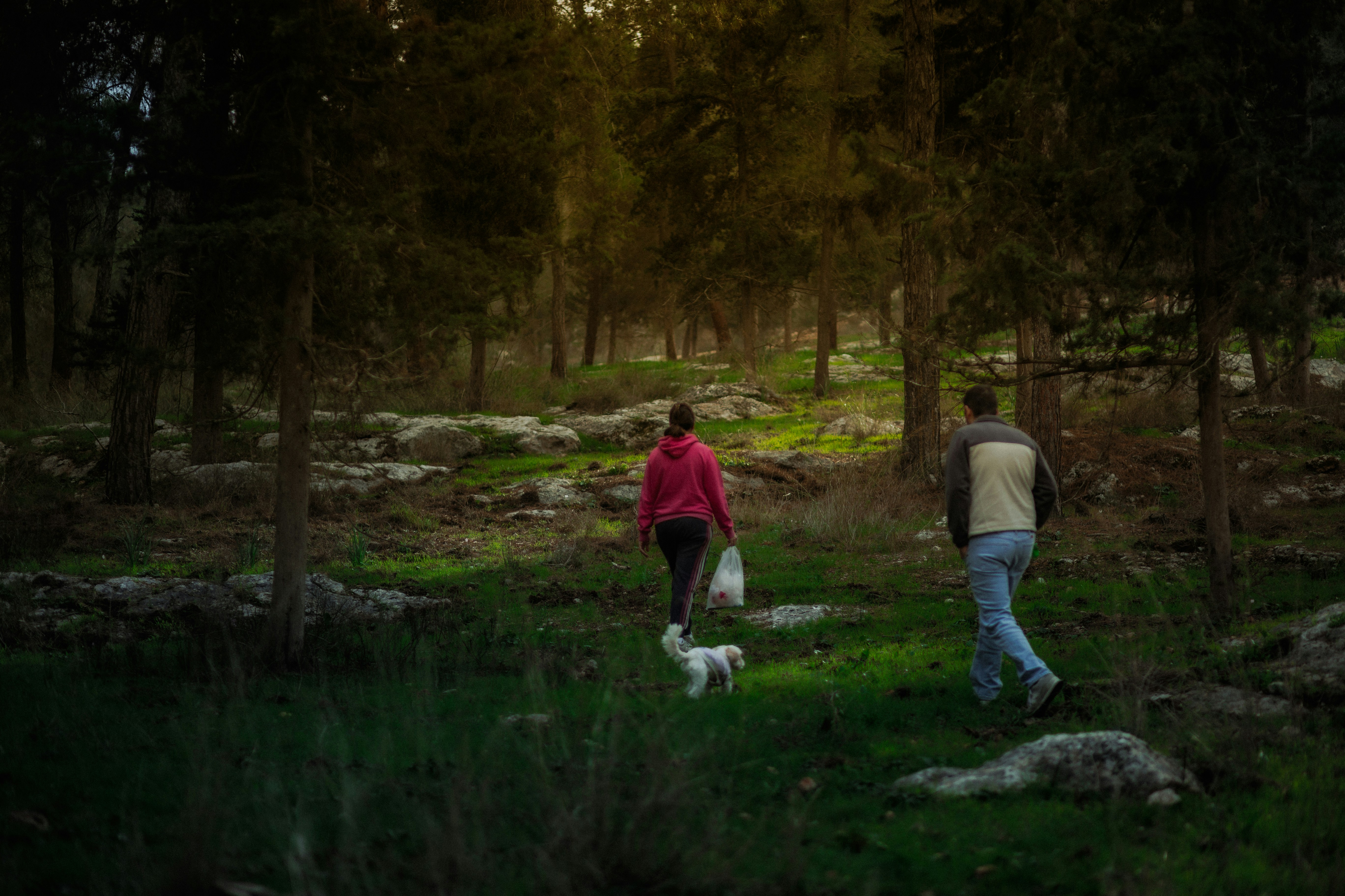 Photo by behindthetmuna