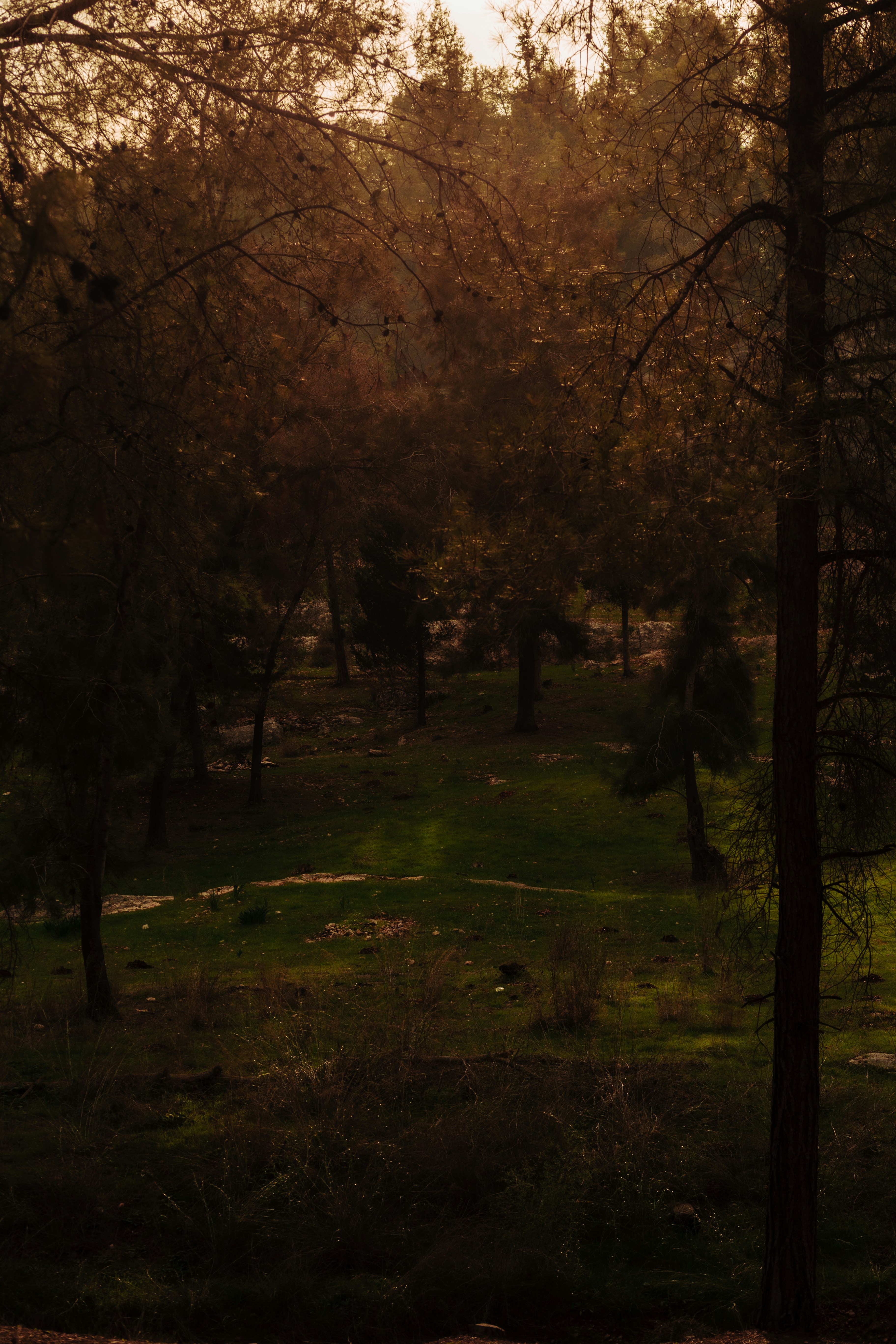 Photo by behindthetmuna