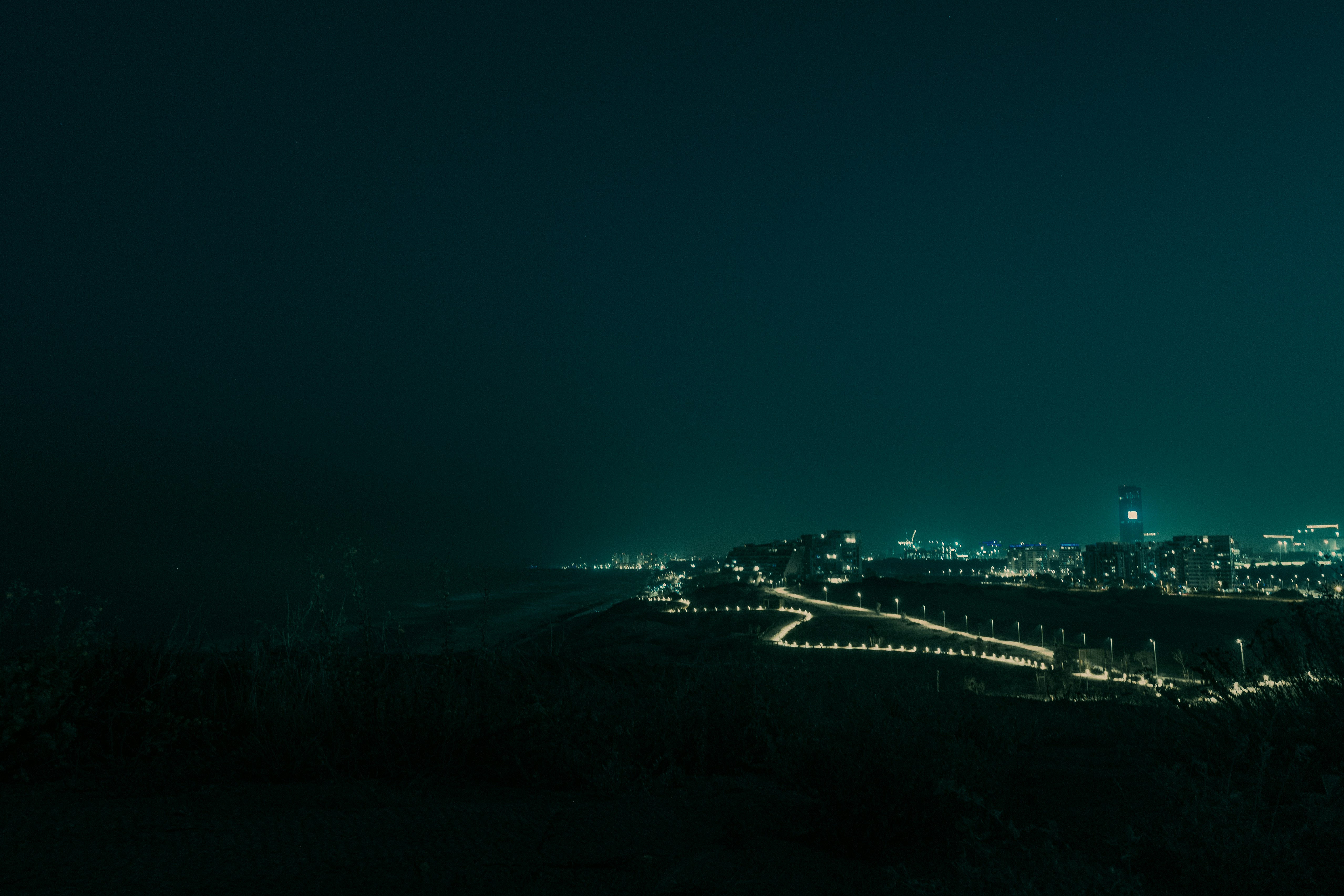 Photo by behindthetmuna