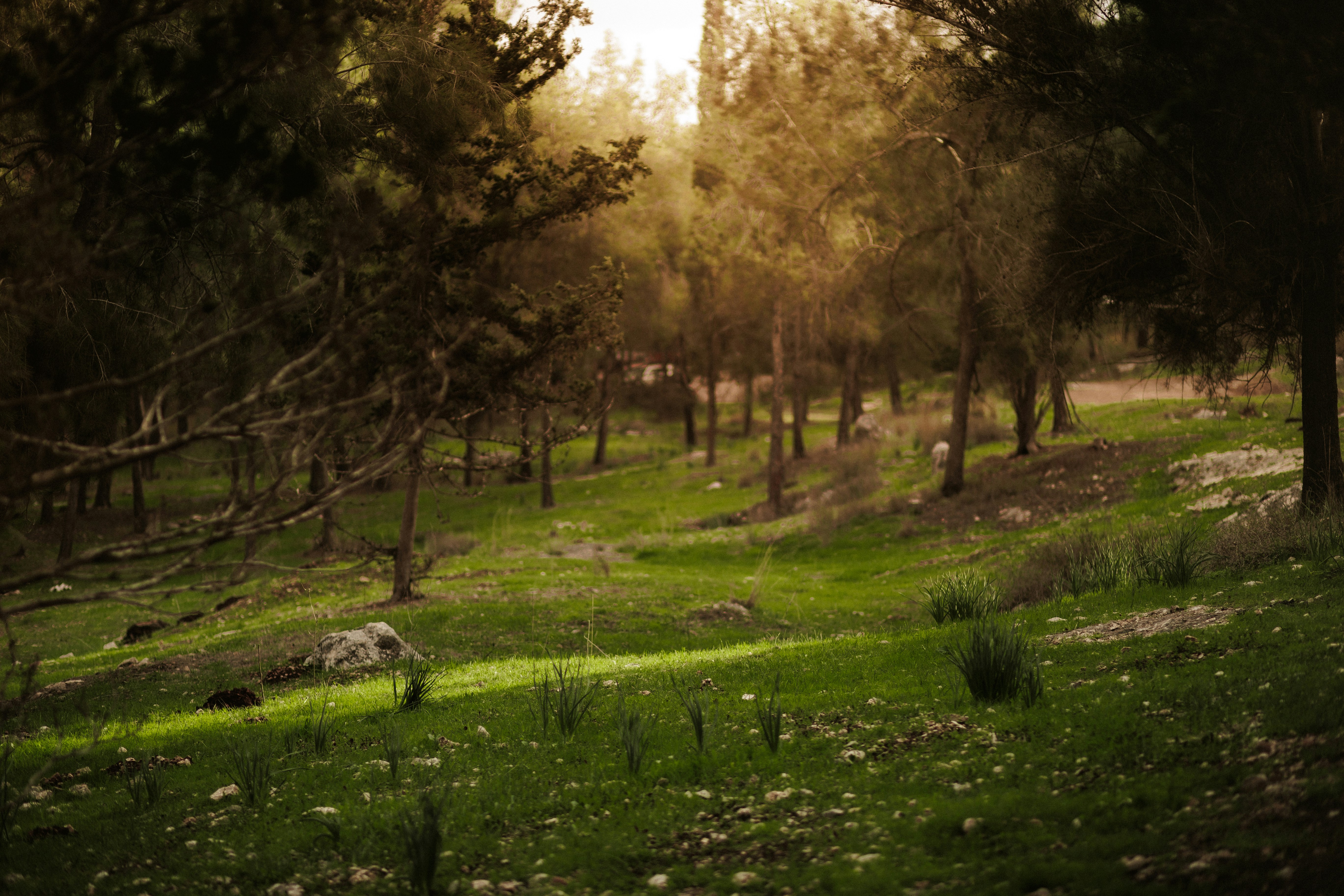 Photo by behindthetmuna