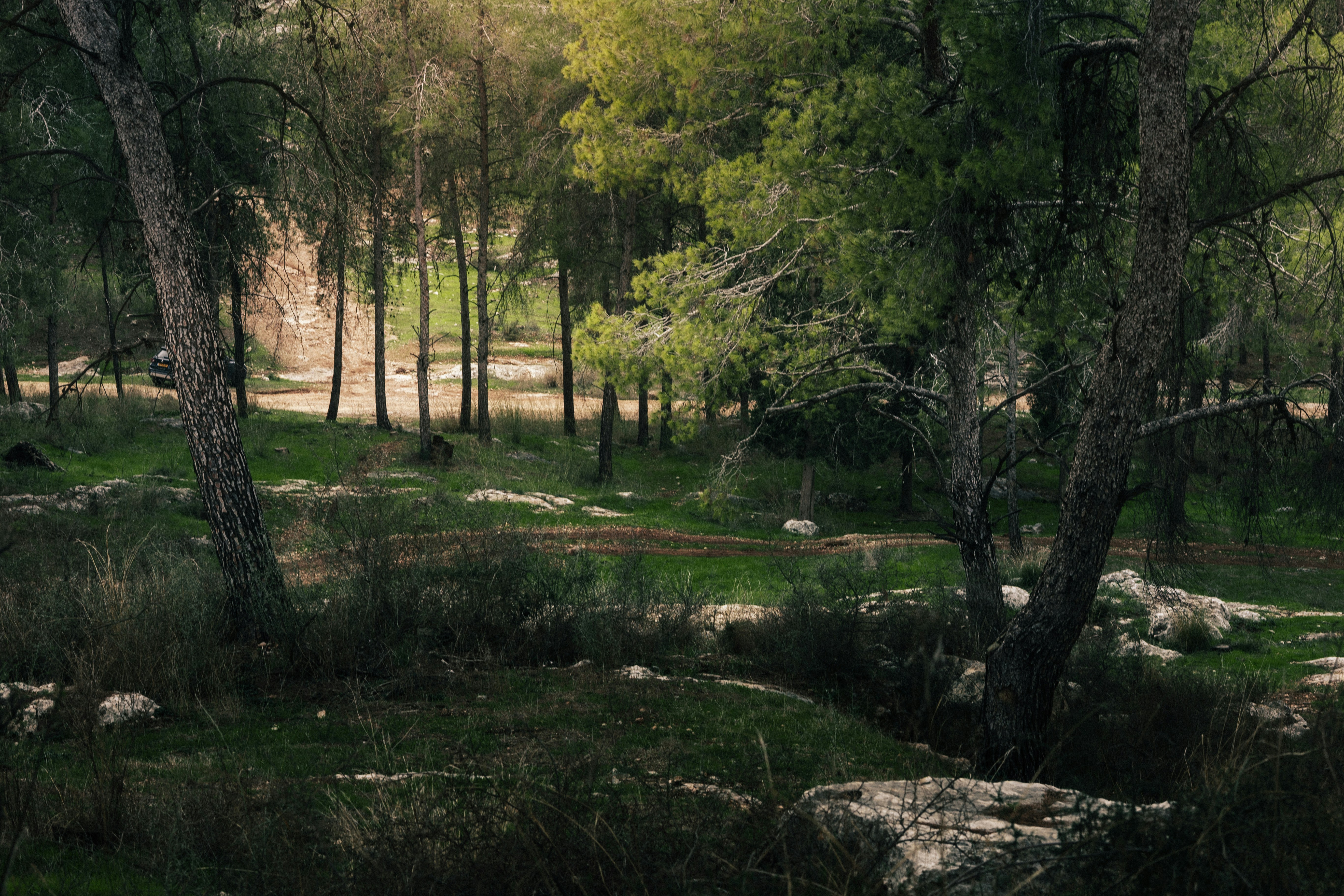 Photo by behindthetmuna