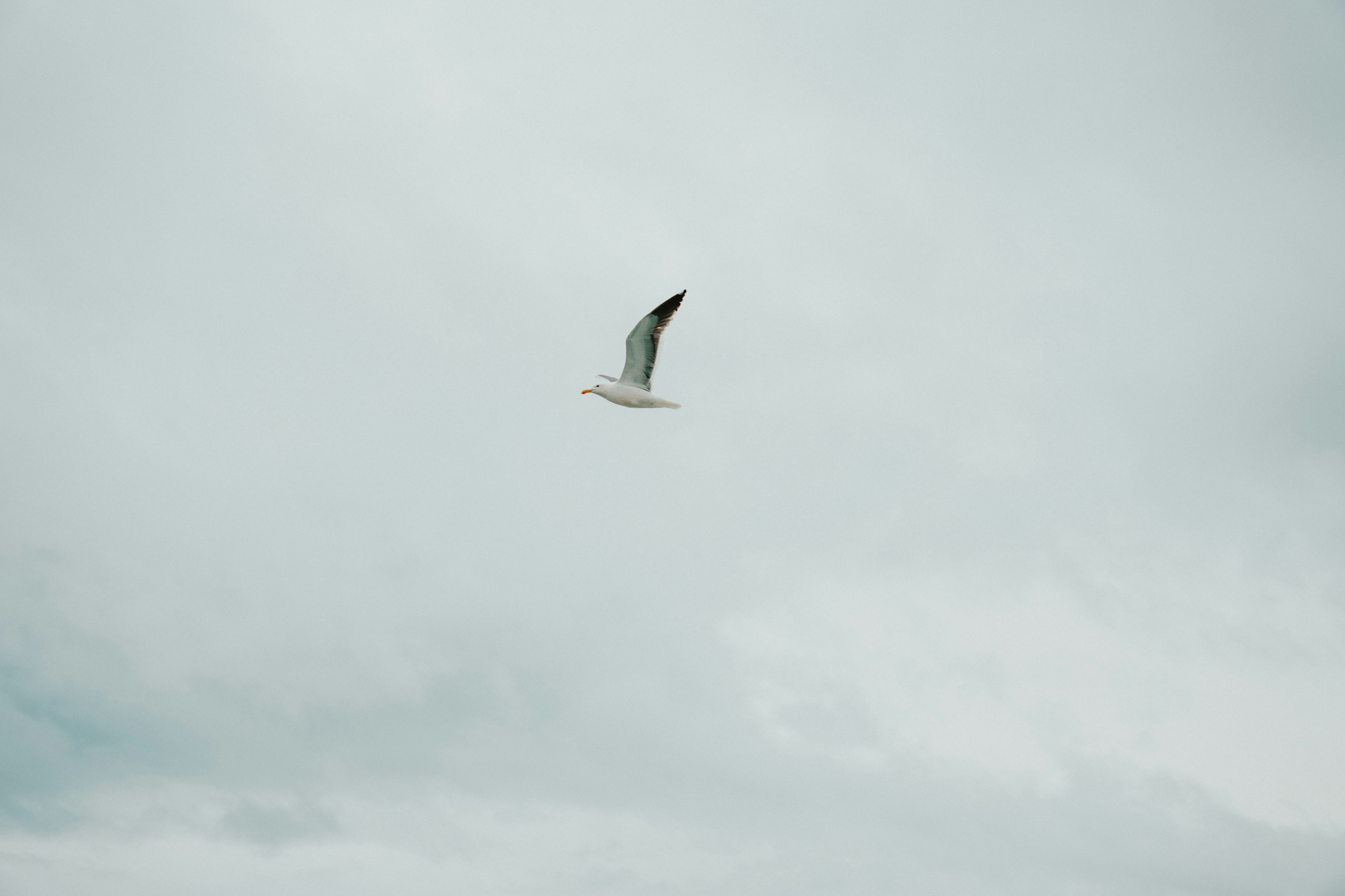 Photo by nickfuentes_