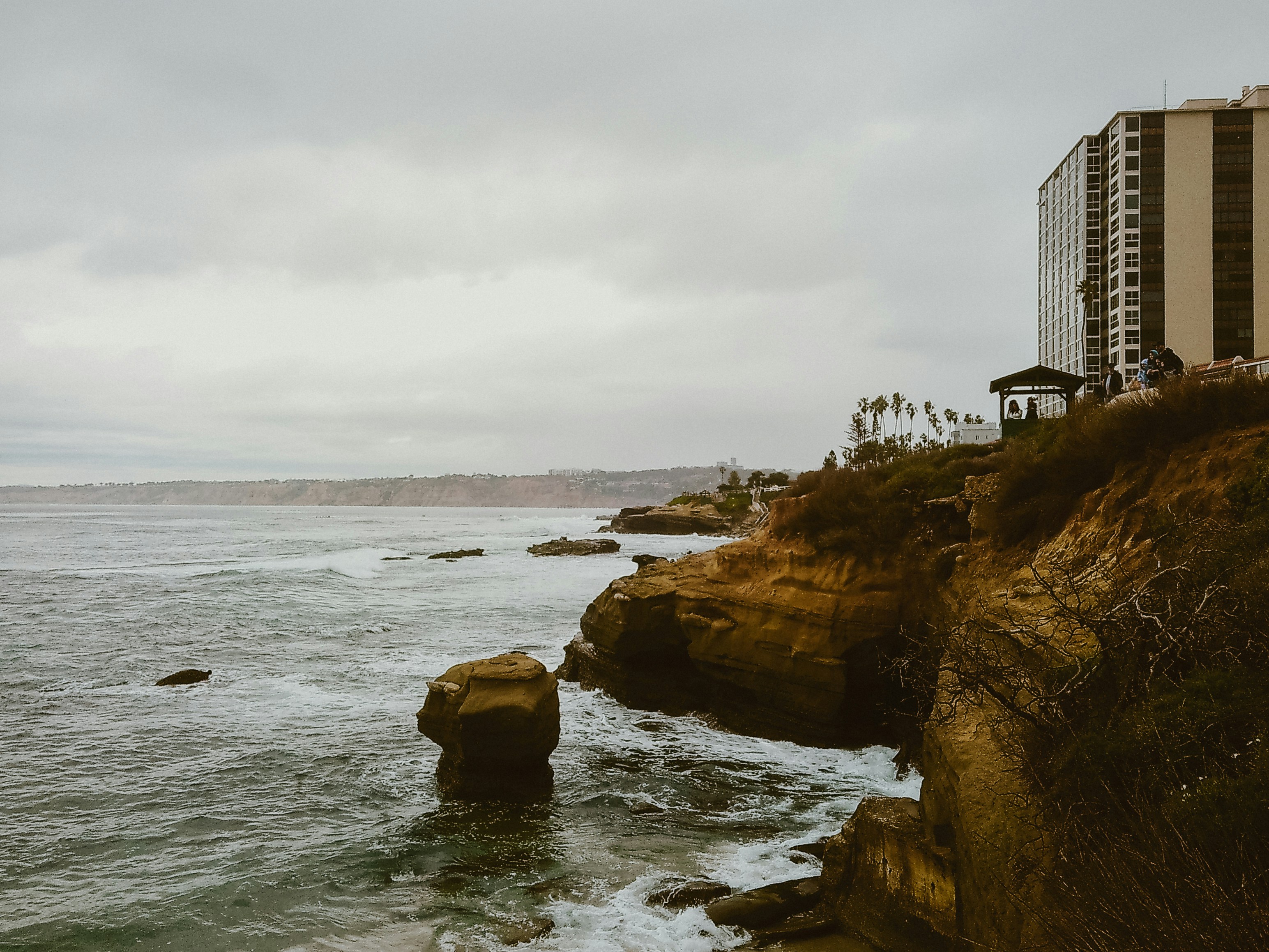 Photo by nickfuentes_