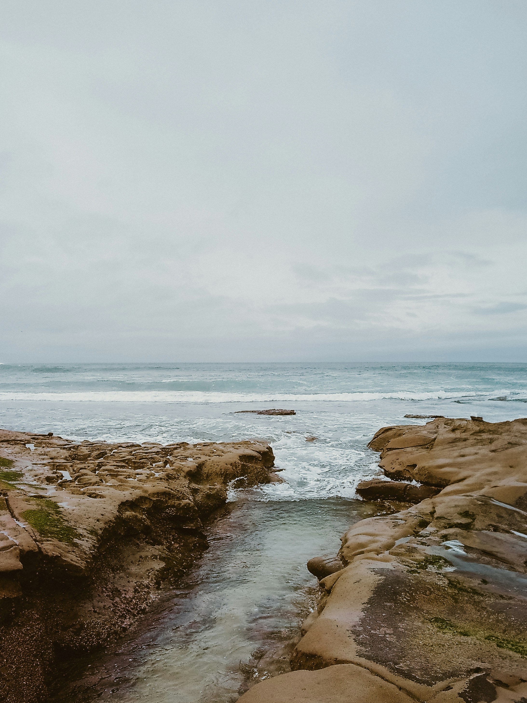 Photo by nickfuentes_