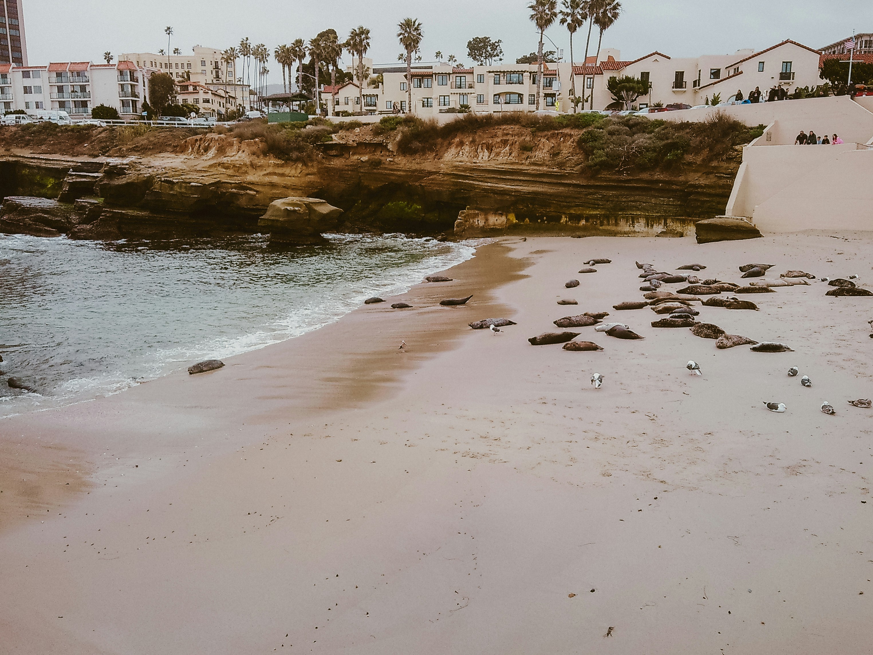 Photo by nickfuentes_