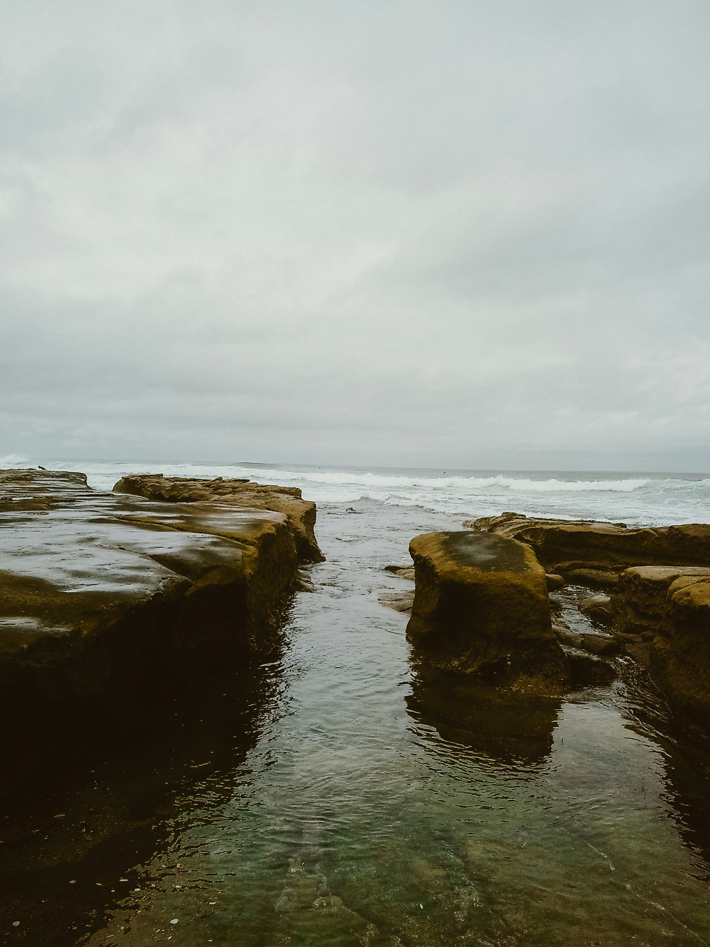 Photo by nickfuentes_