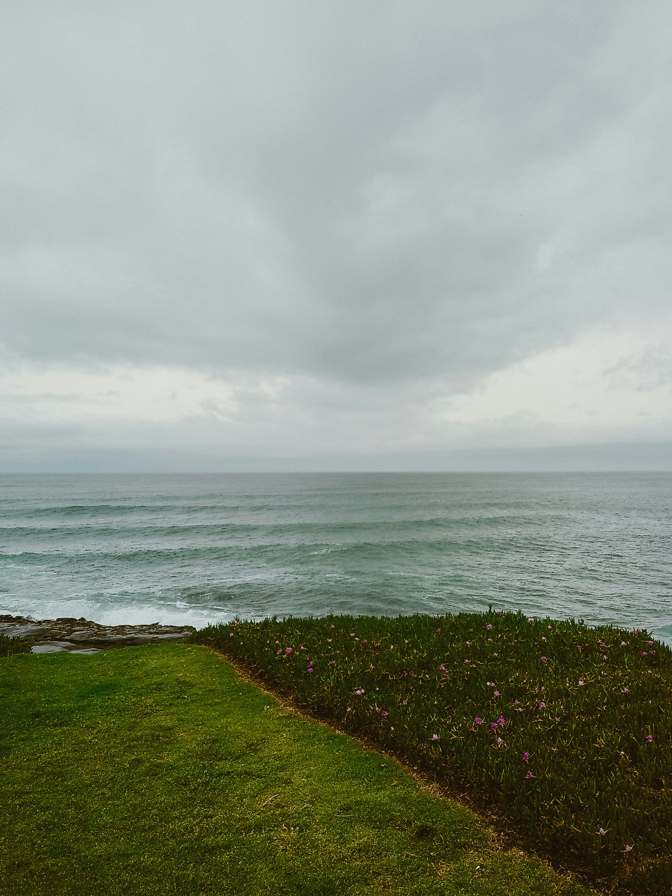 Photo by nickfuentes_