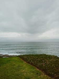 Self Realization Fellowship