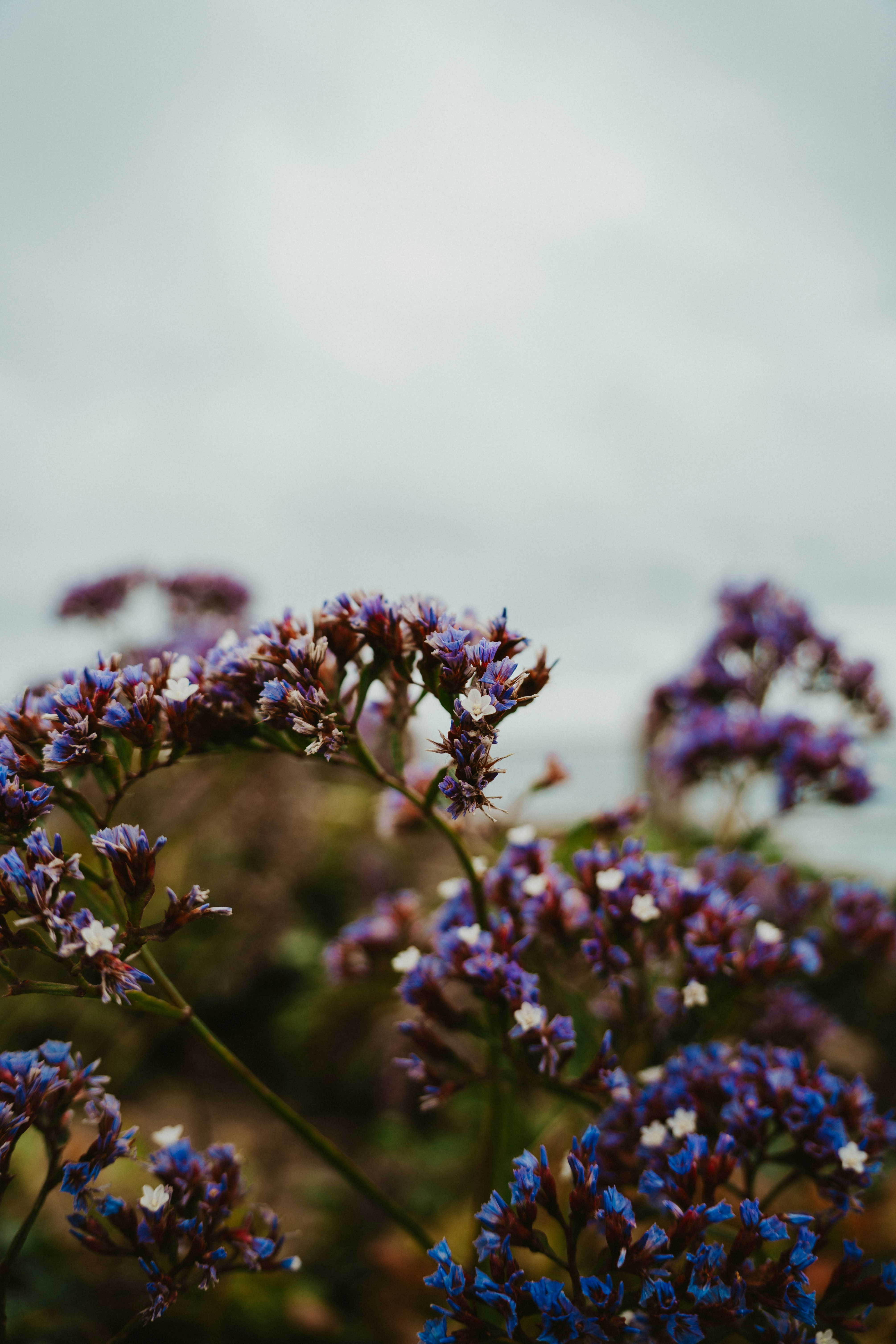 Photo by nickfuentes_