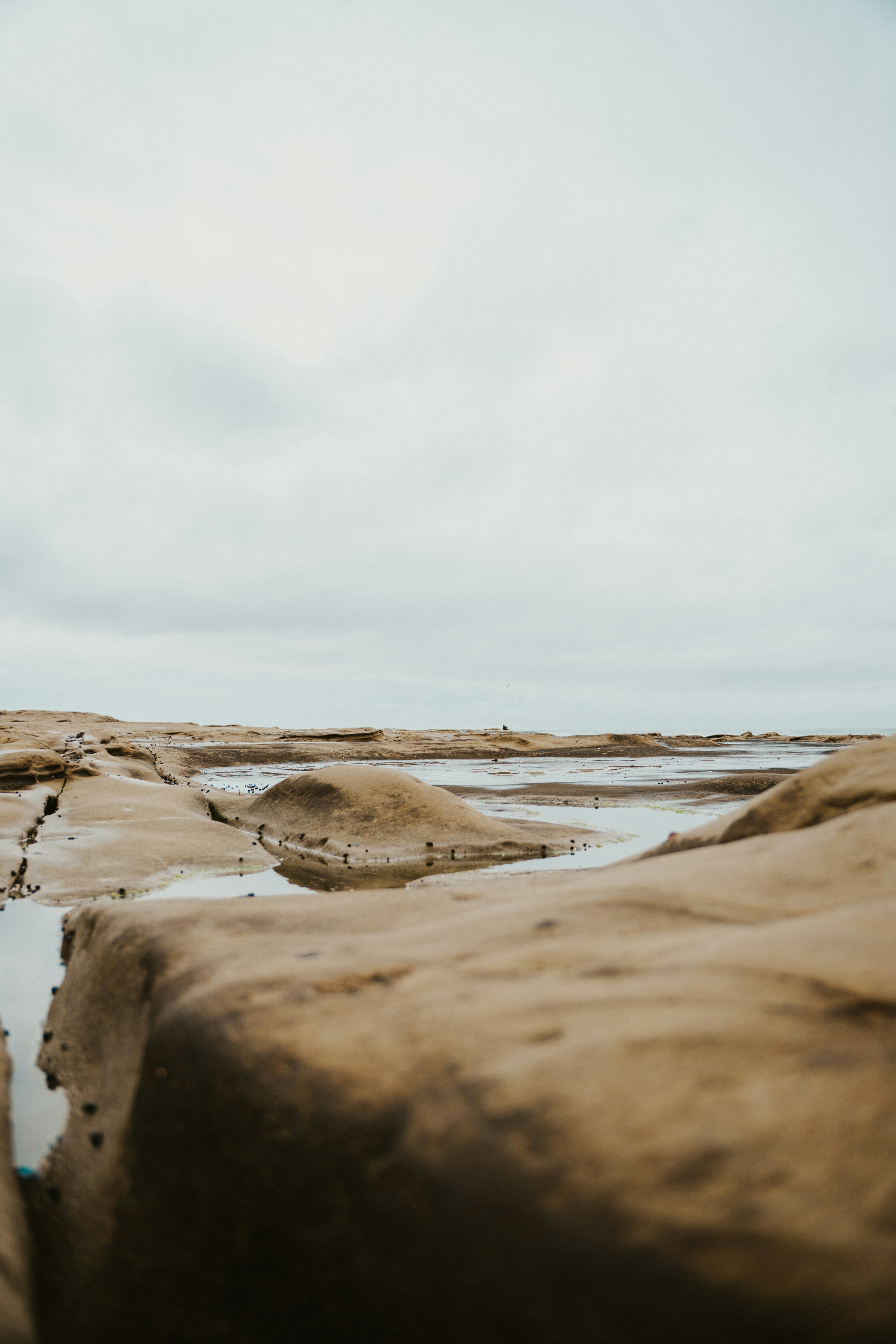 Photo by nickfuentes_