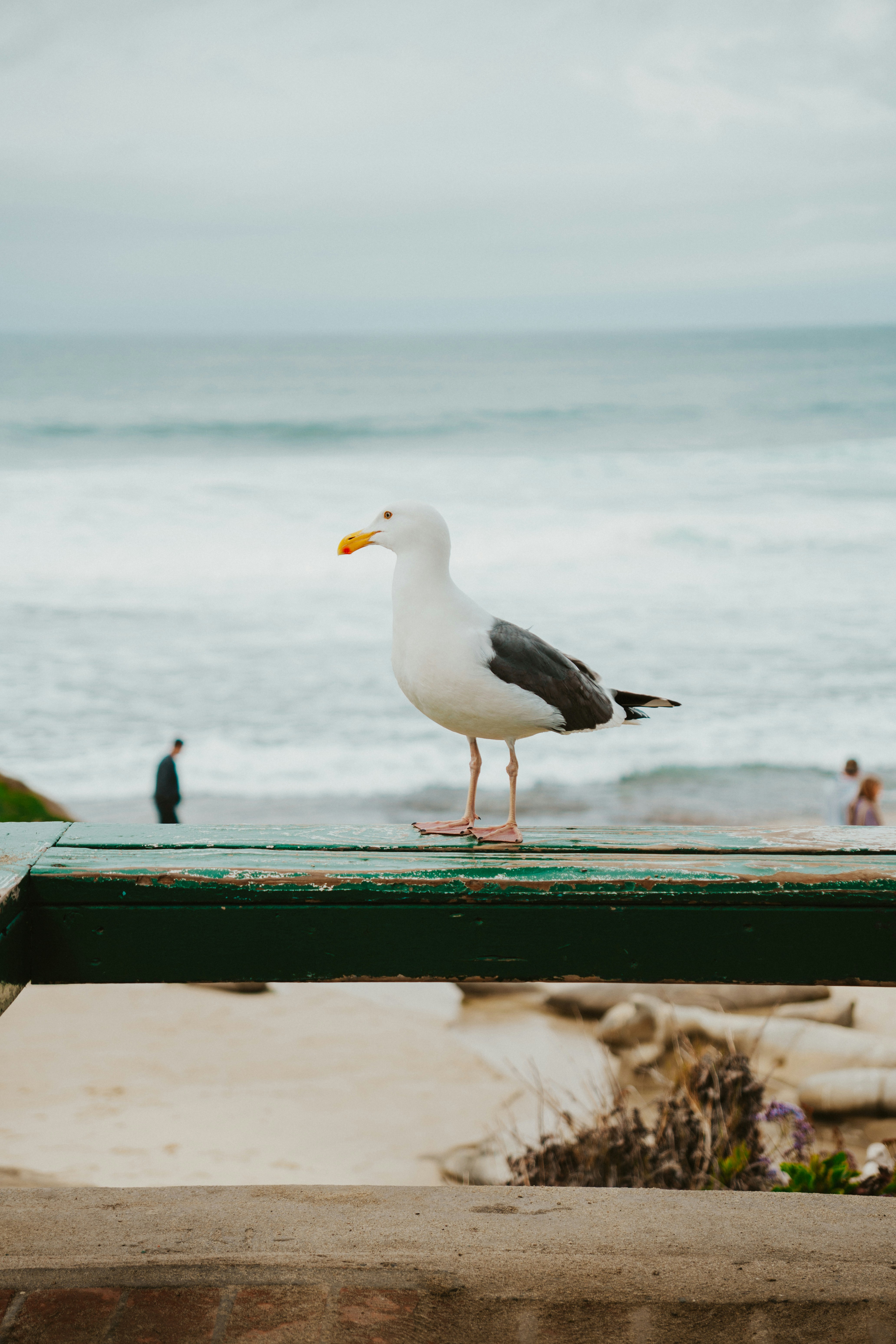 Photo by nickfuentes_