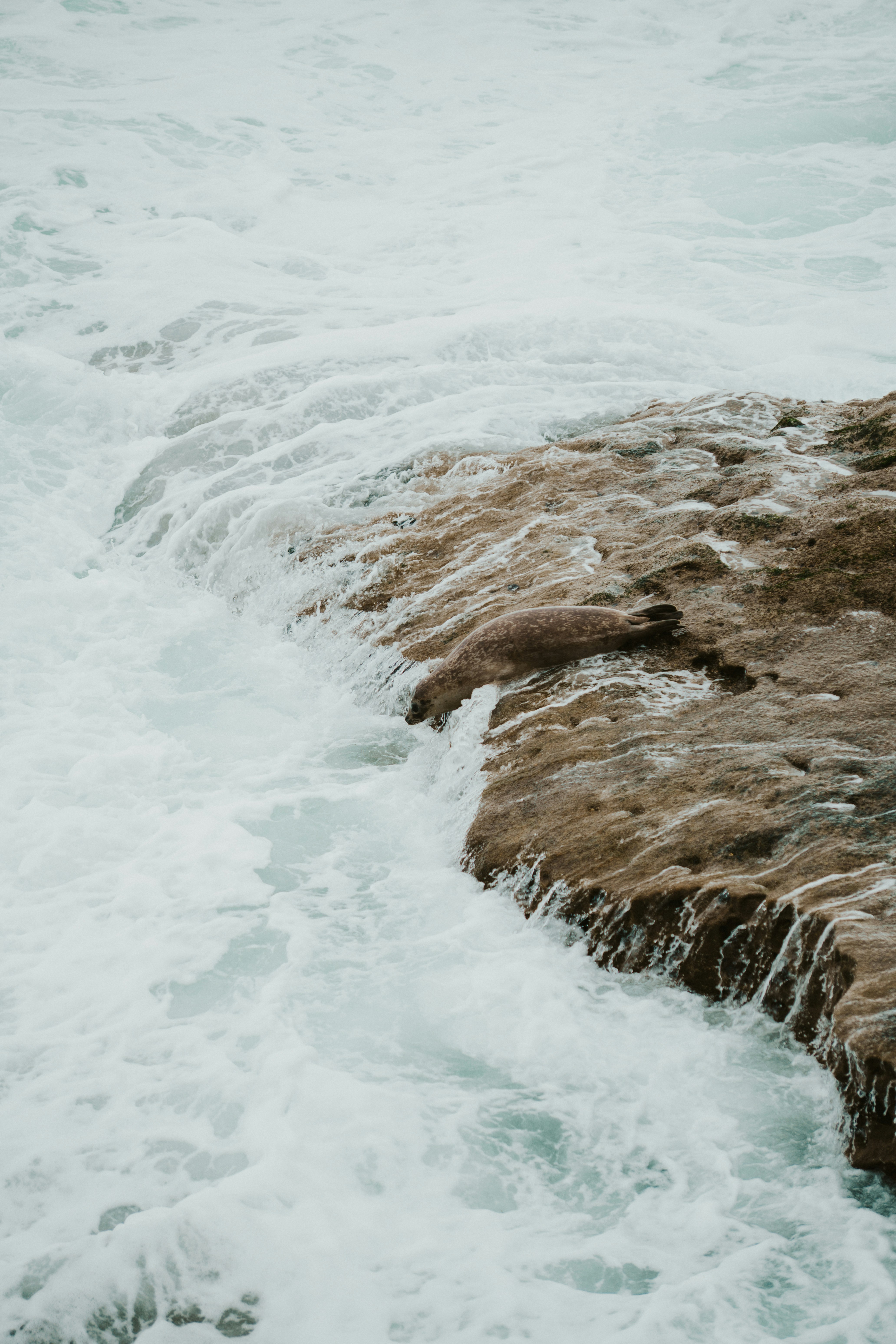 Photo by nickfuentes_