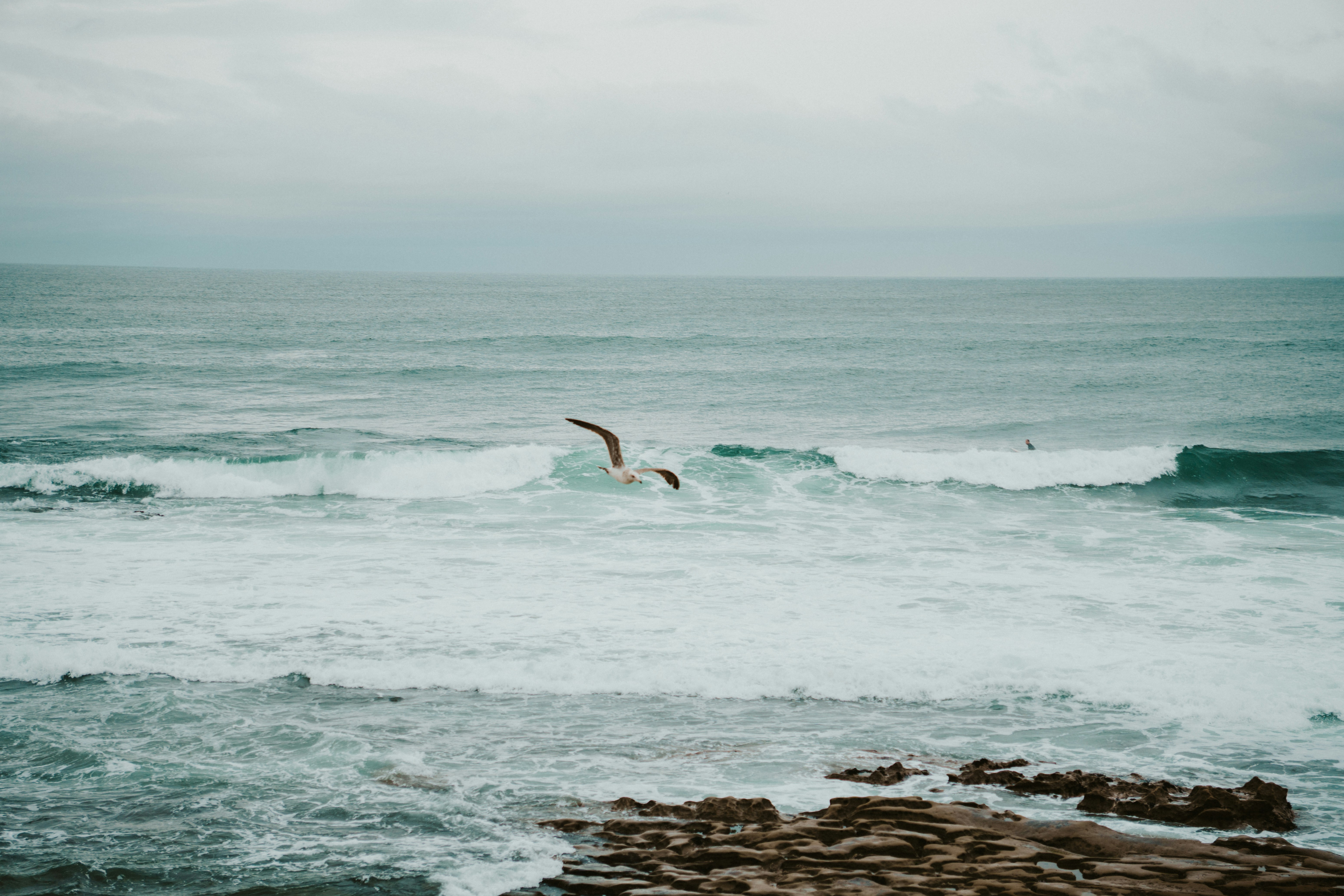 A seagull flies above the wavy ocean.