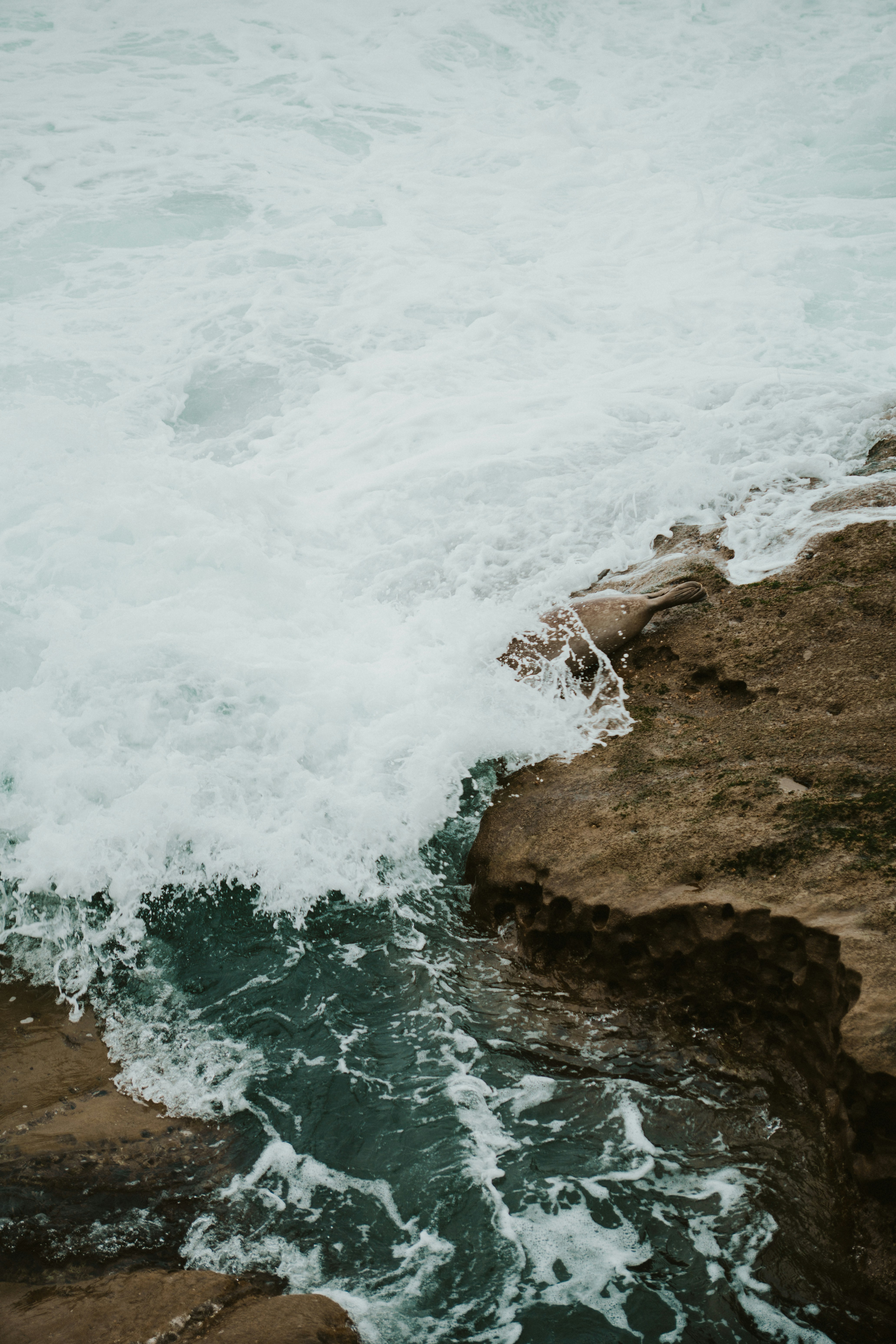 Photo by nickfuentes_