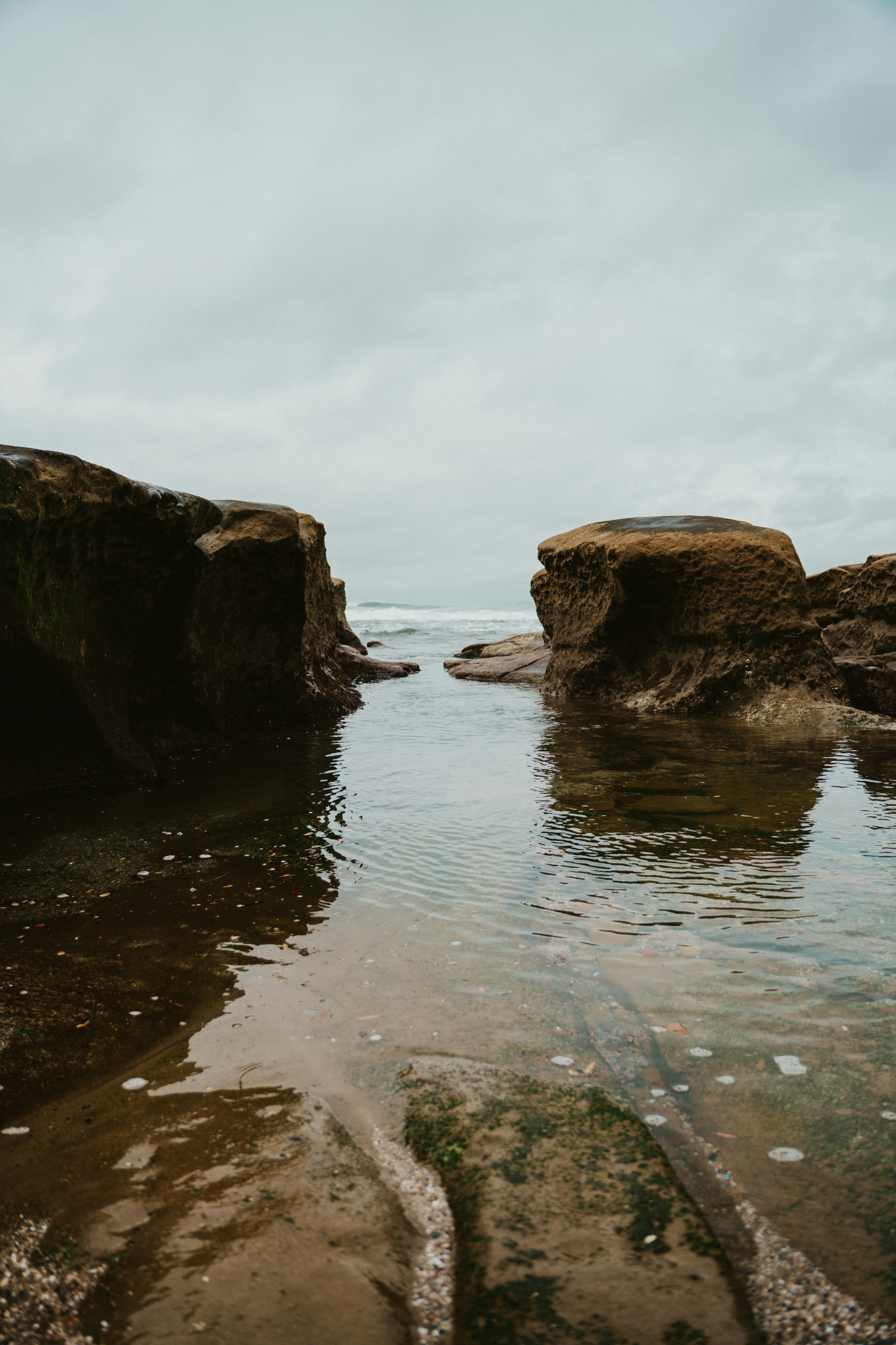 Photo by nickfuentes_