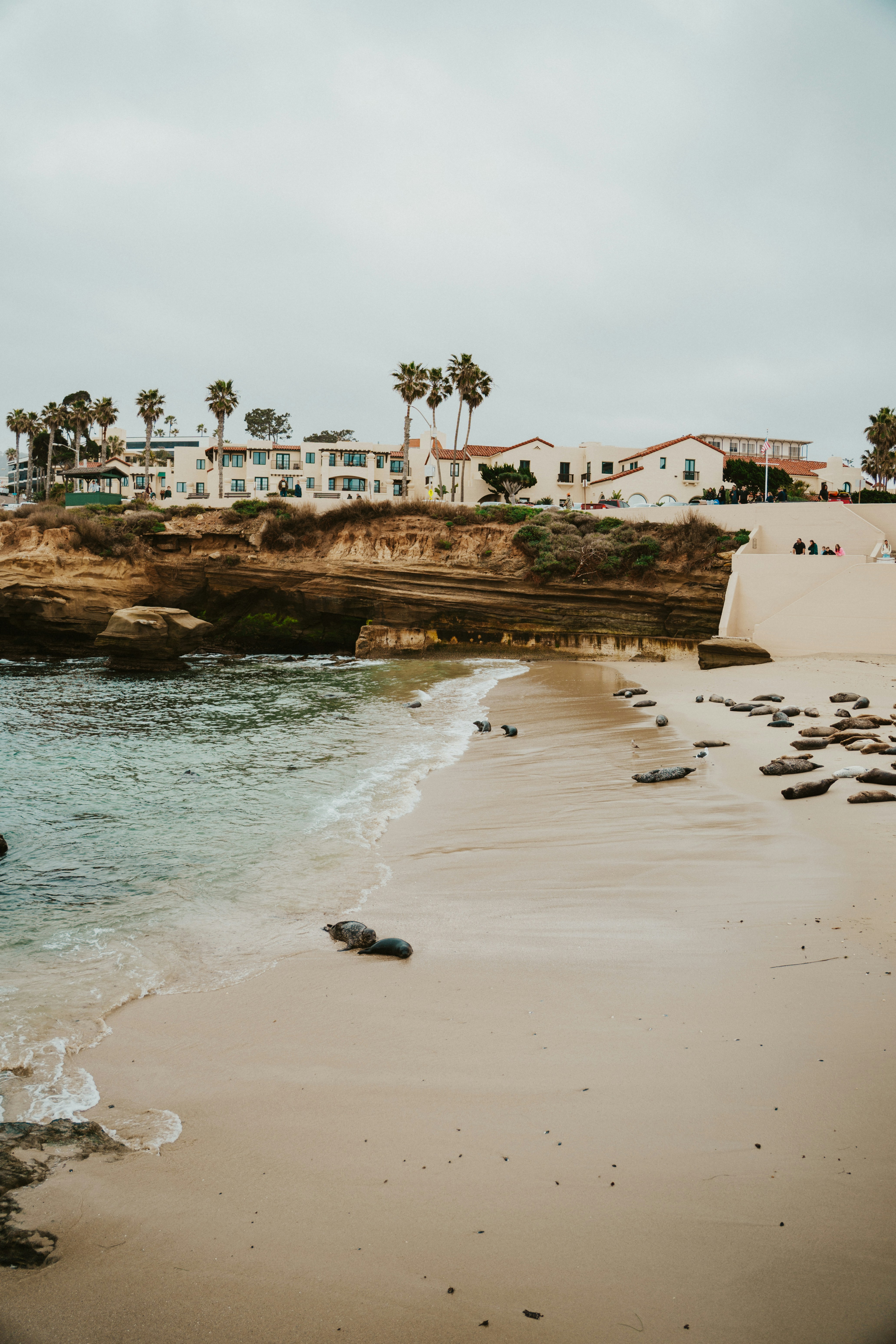 Photo by nickfuentes_