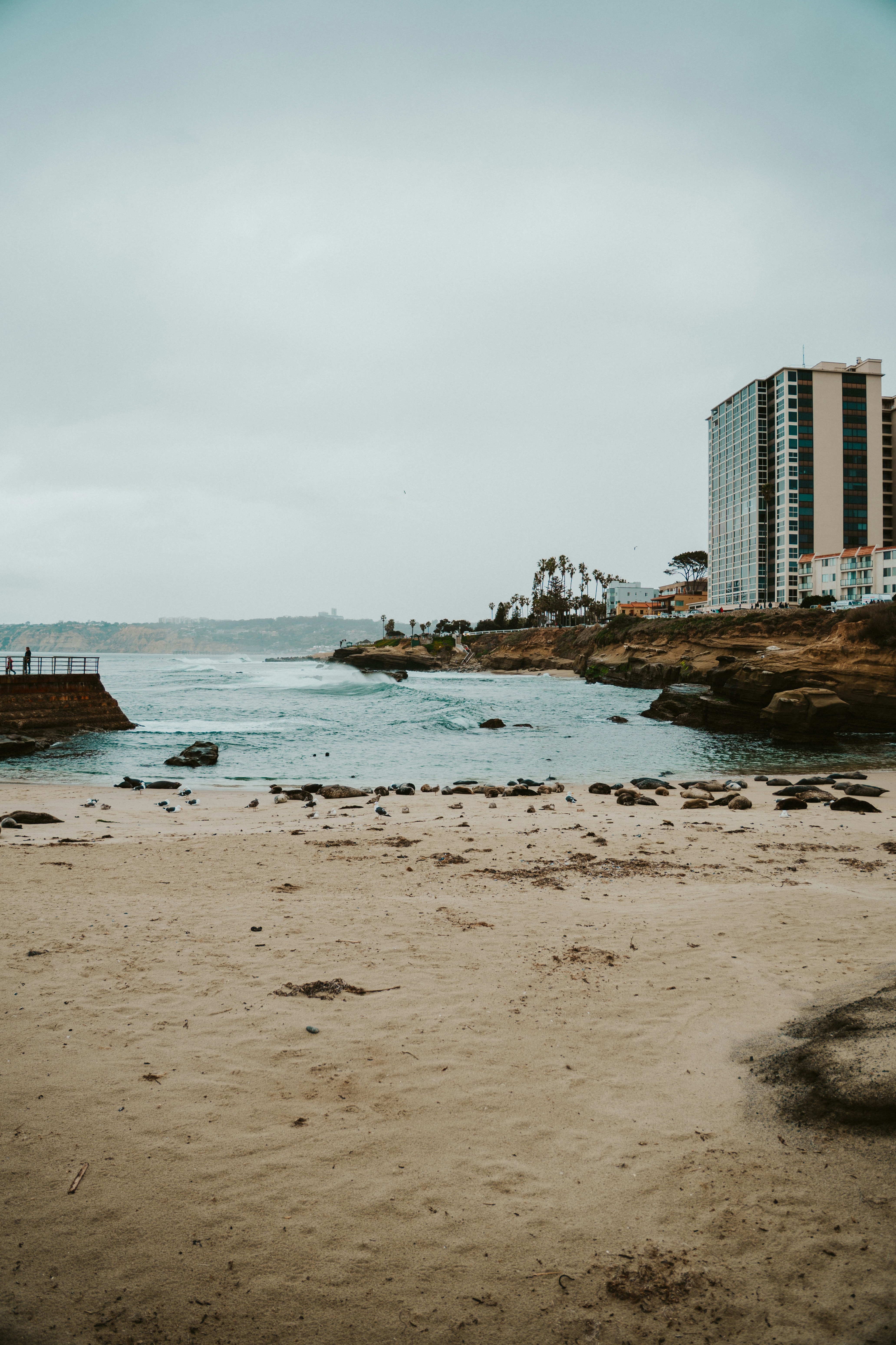 Photo by nickfuentes_