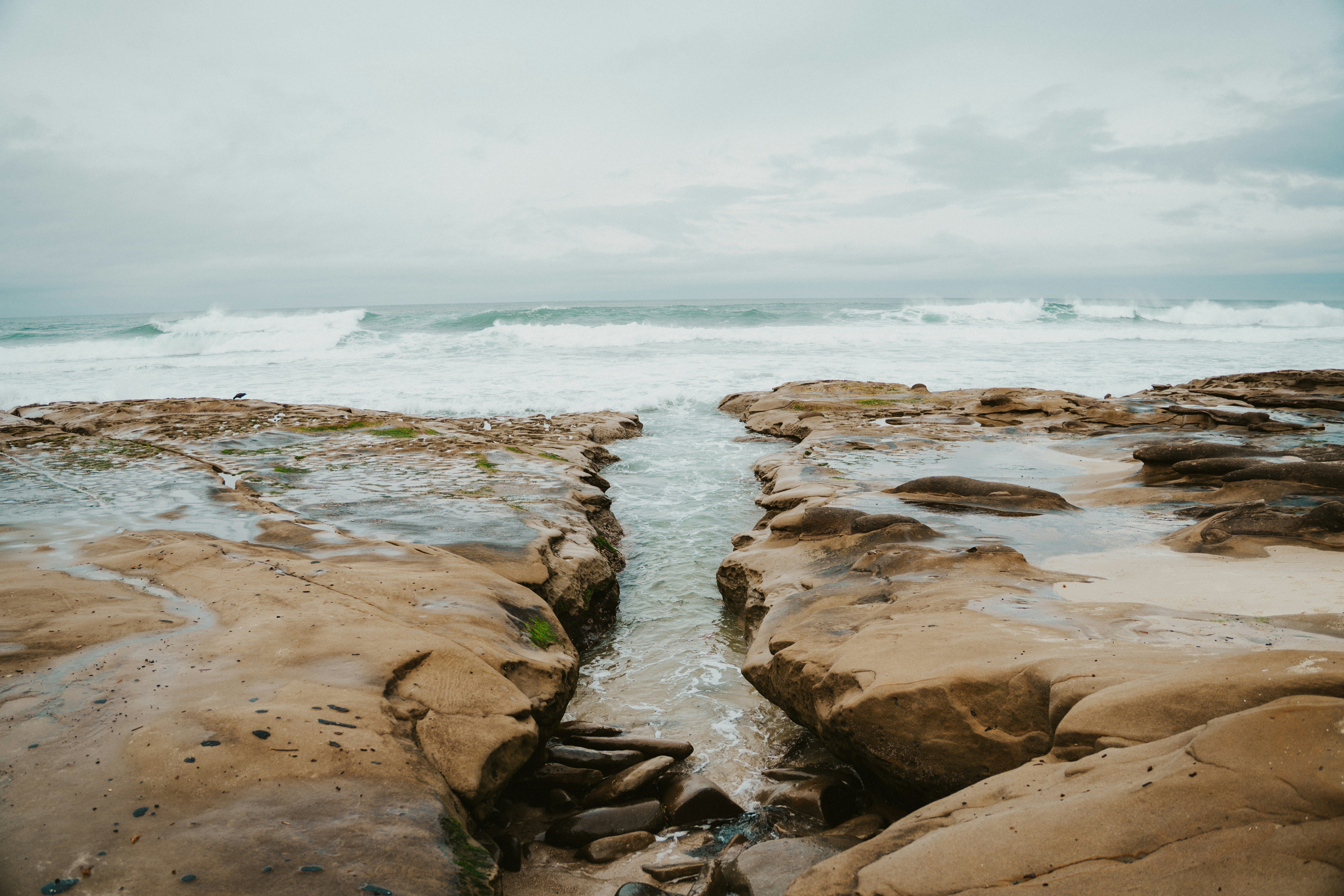 Photo by nickfuentes_