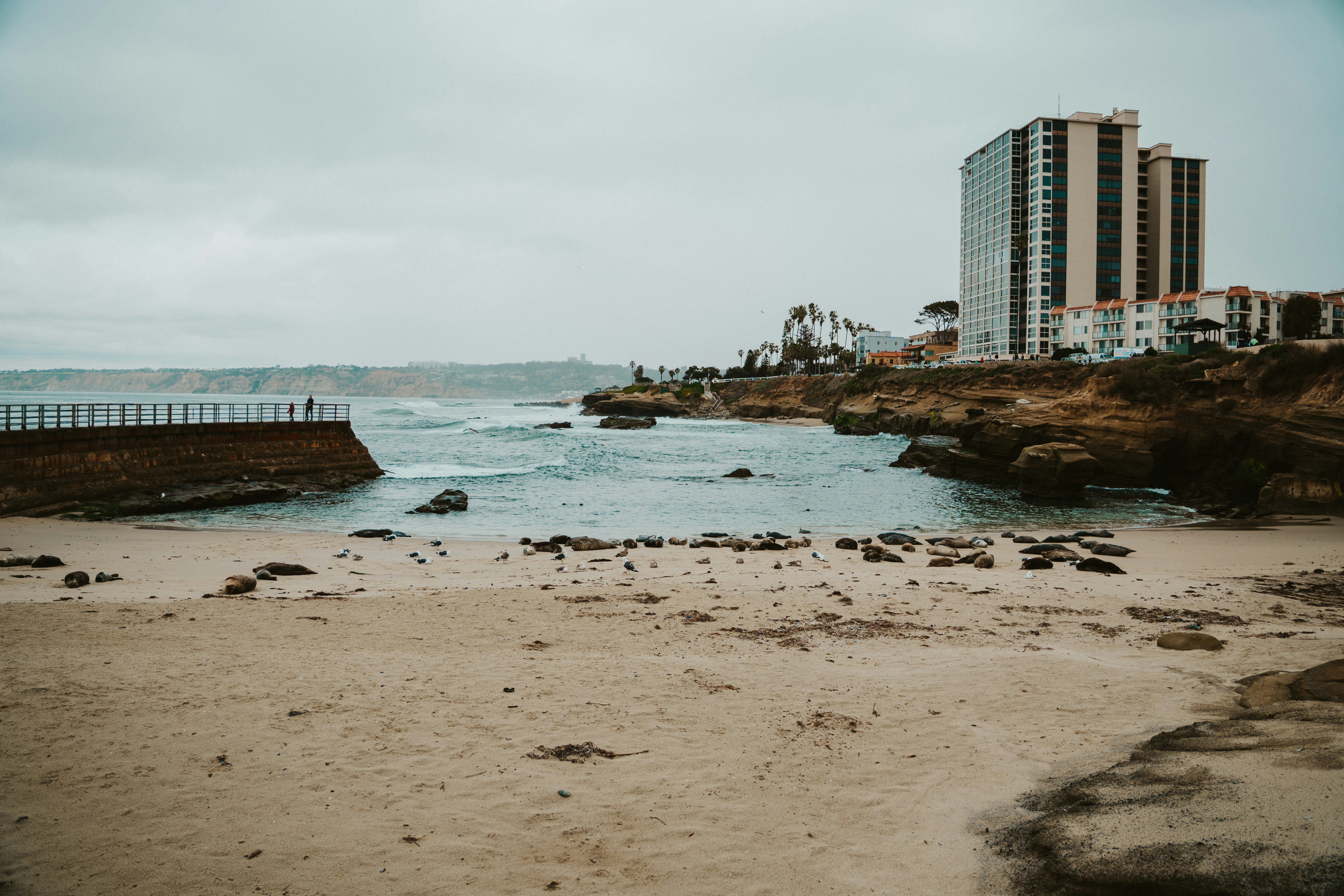 Photo by nickfuentes_