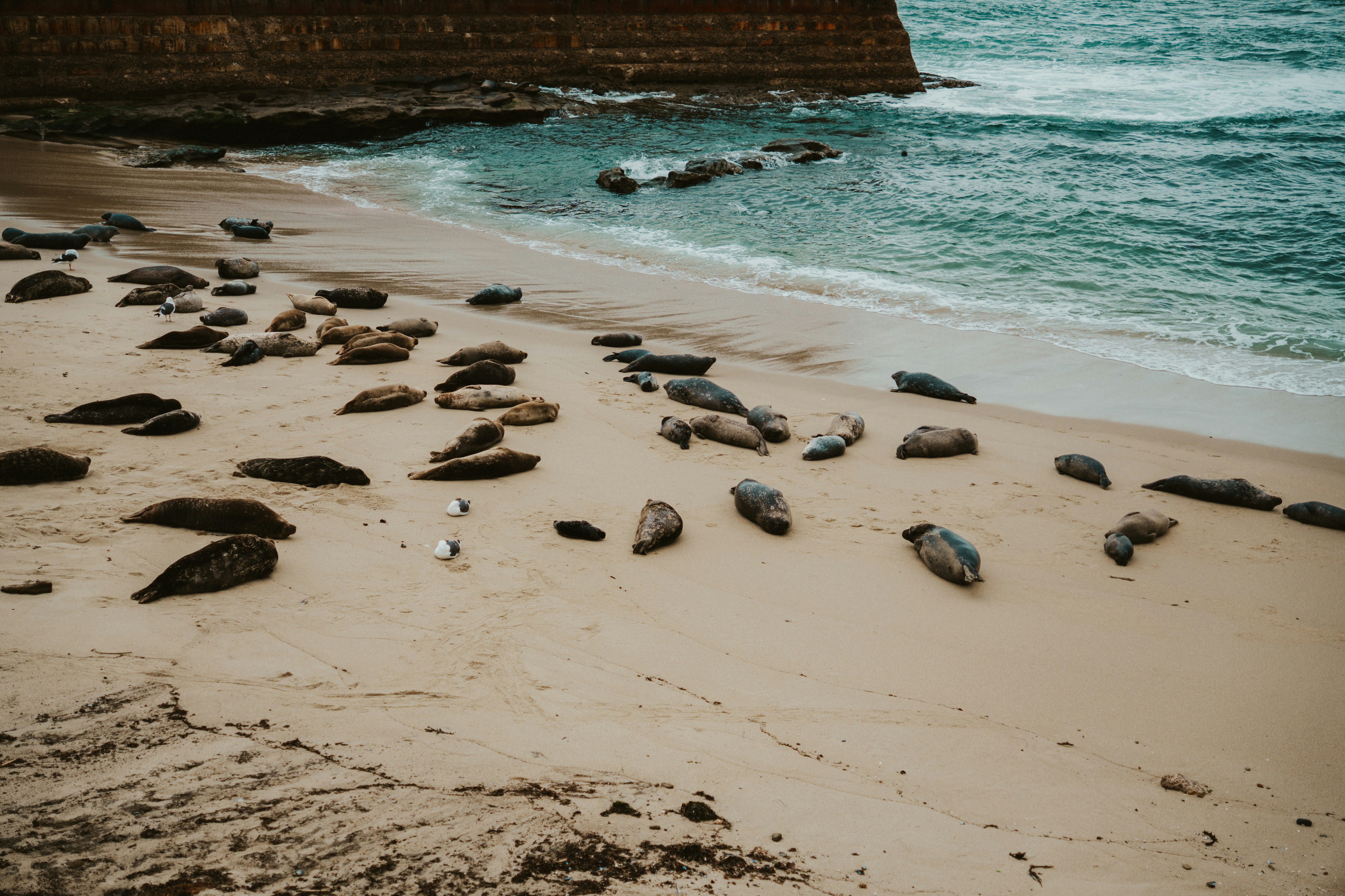 Photo by nickfuentes_