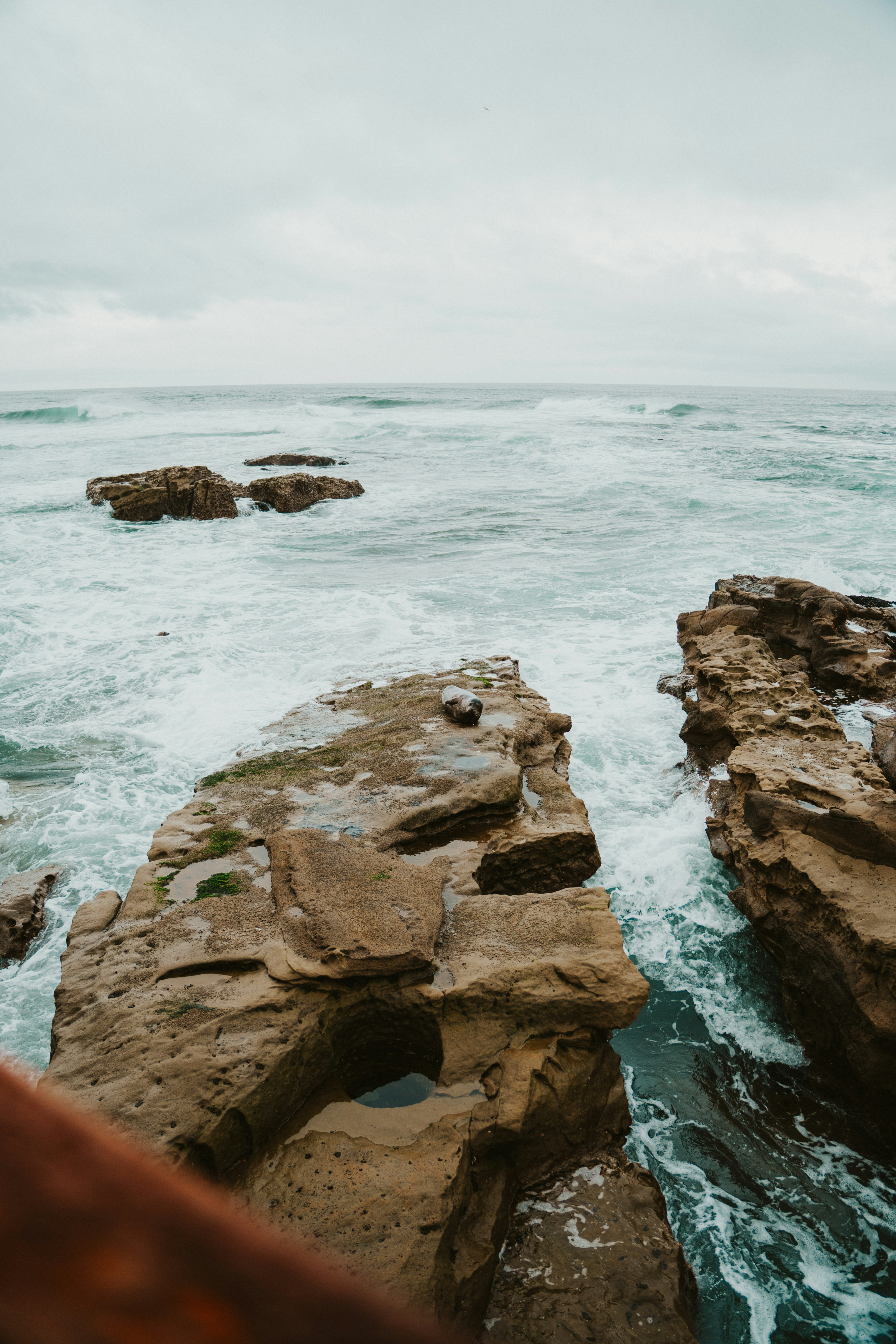 Photo by nickfuentes_